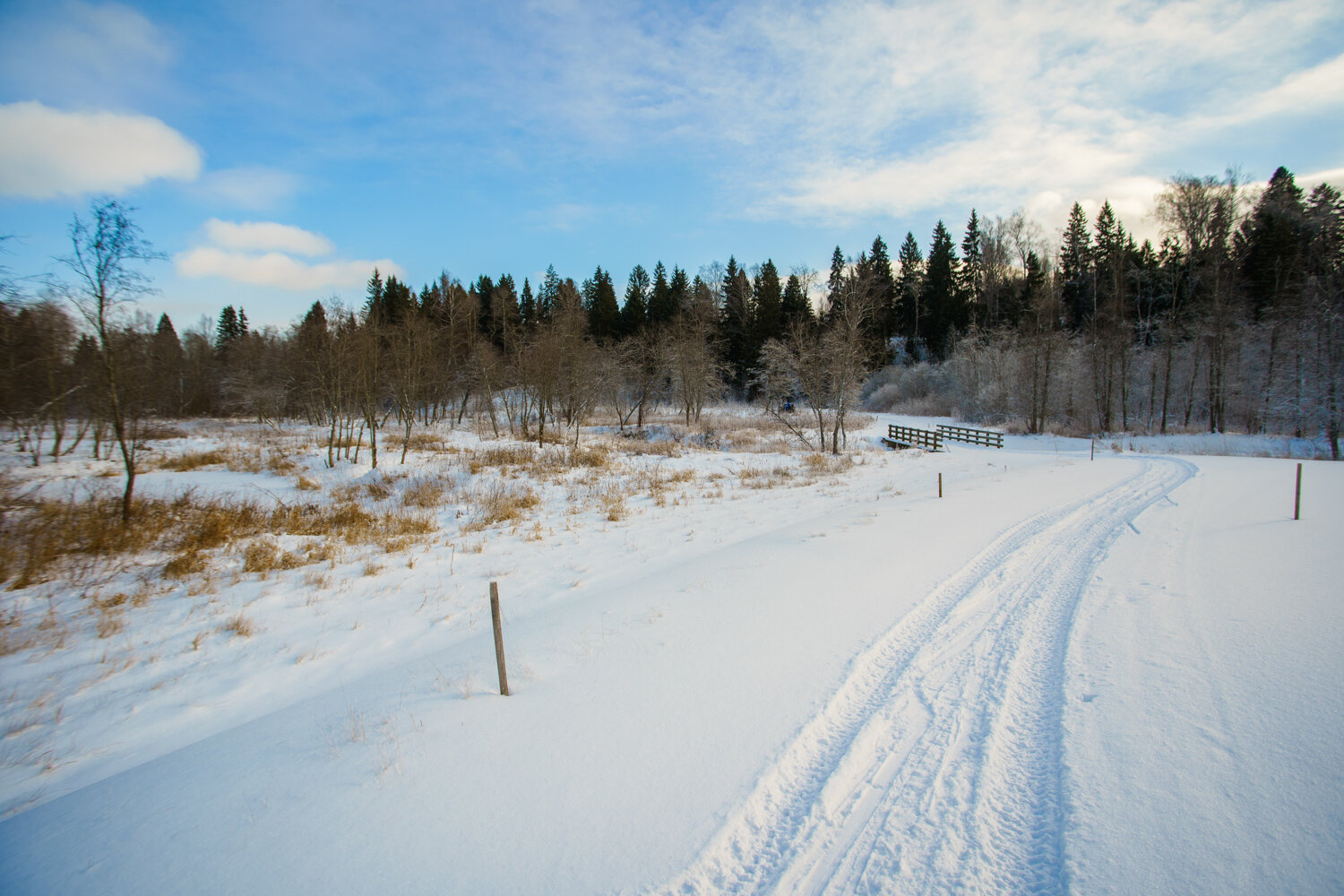 Фото Форест Хиллс