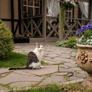 Фото Ближние Дубки