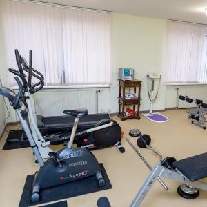 Фото Лебедь