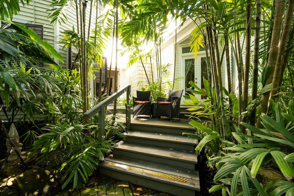 Фото The Mermaid & Alligator