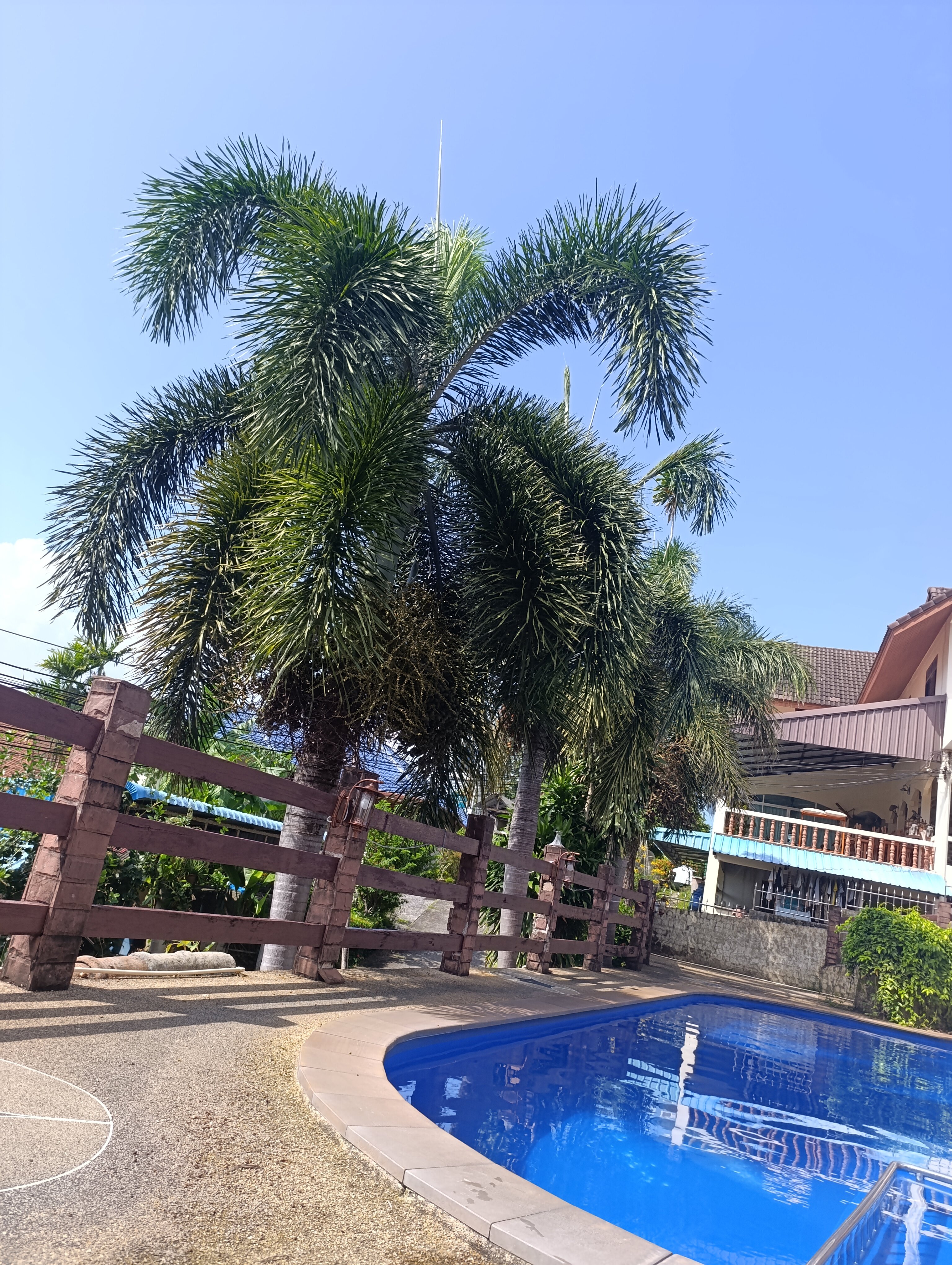 Фото Kataonsea Bungalows