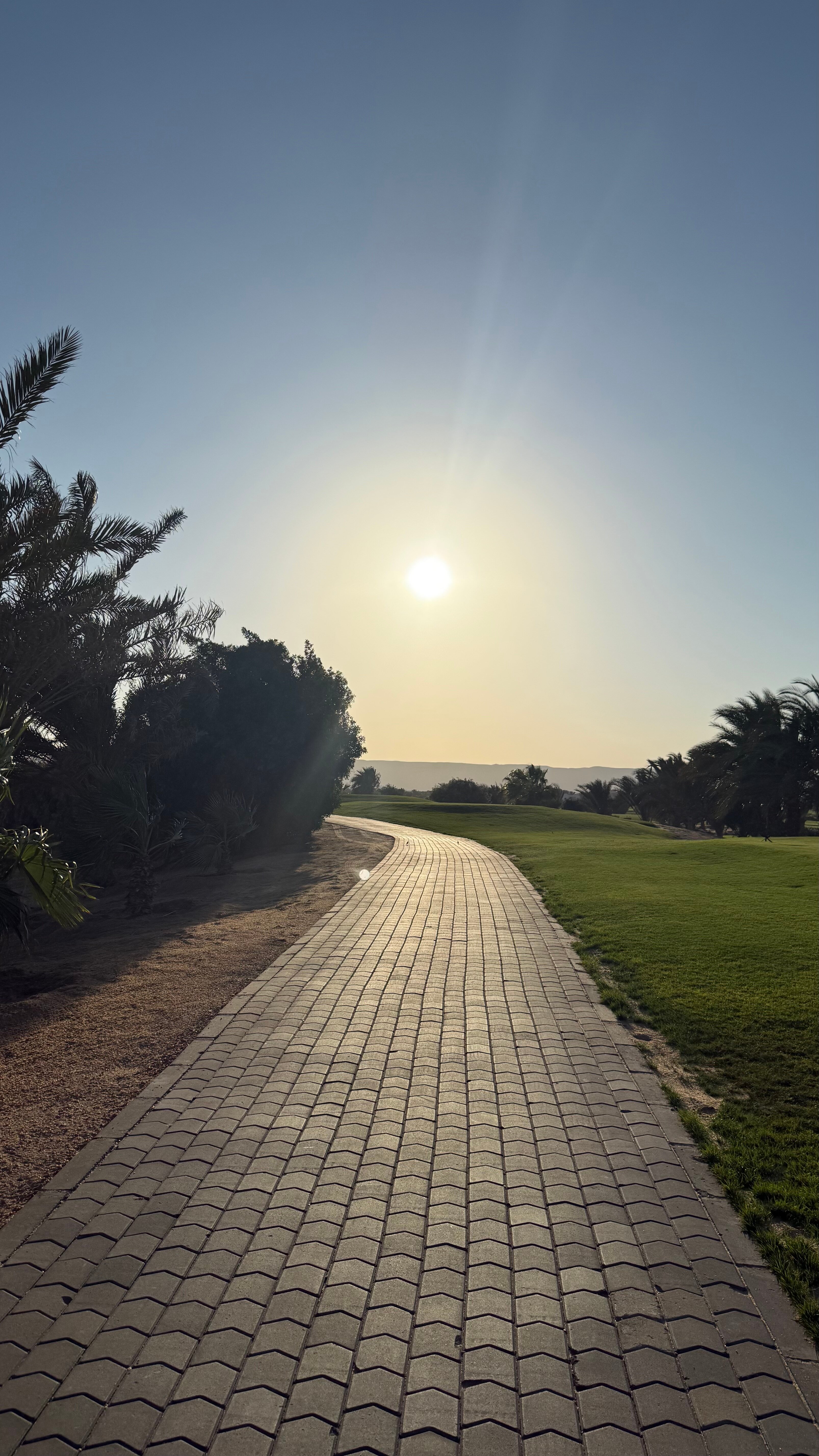 Фото Steigenberger Golf Resort El Gouna