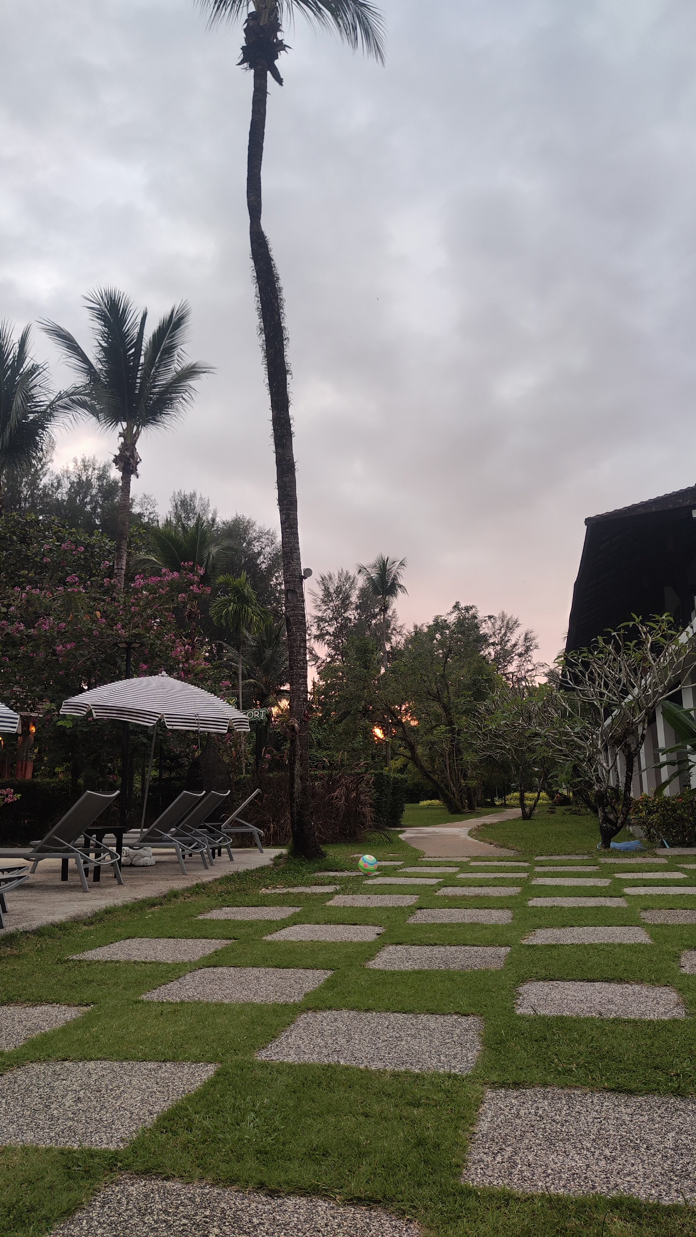 Фото Palm Galleria Resort