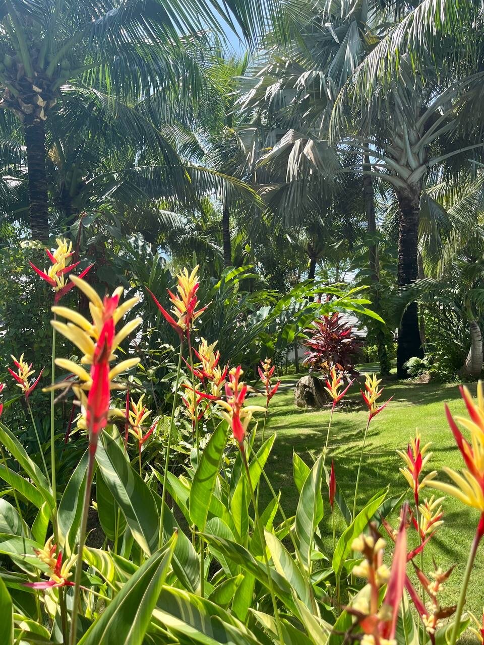 Фото The Cliff Resort & Residences