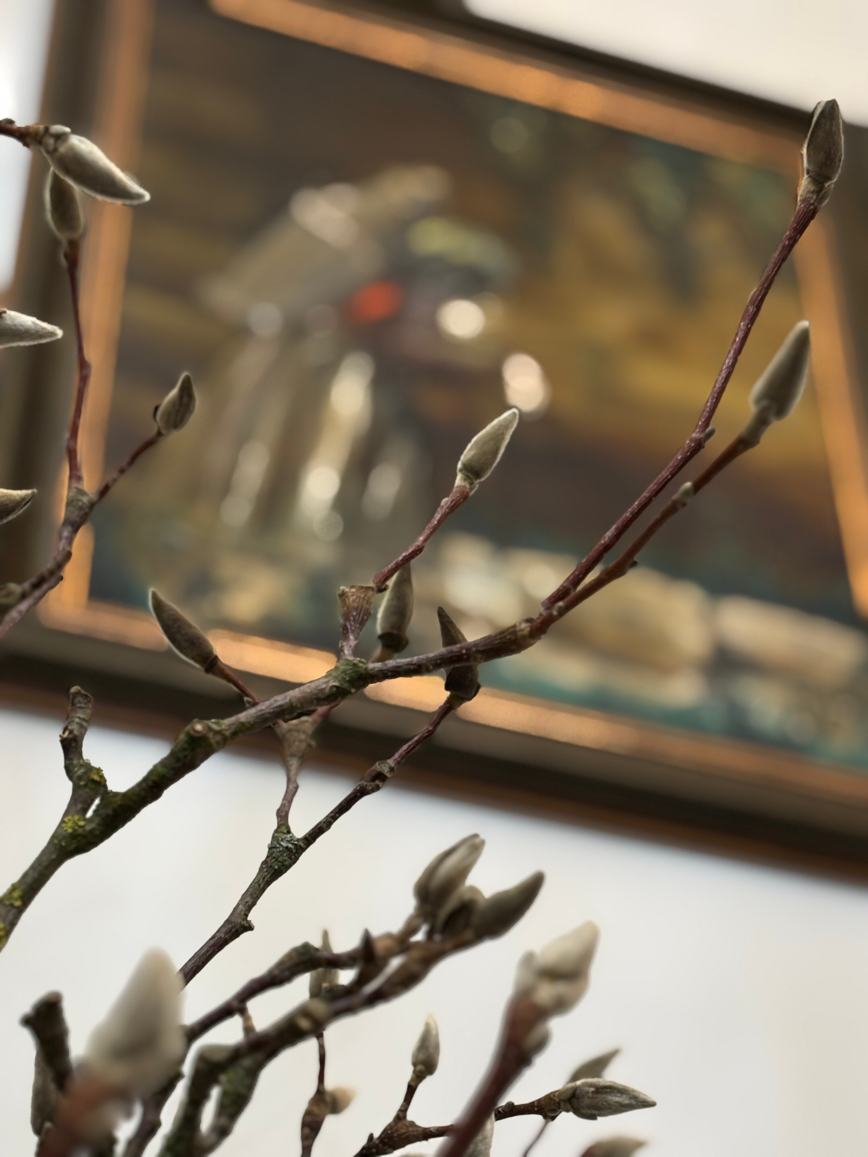 Фото Кристал