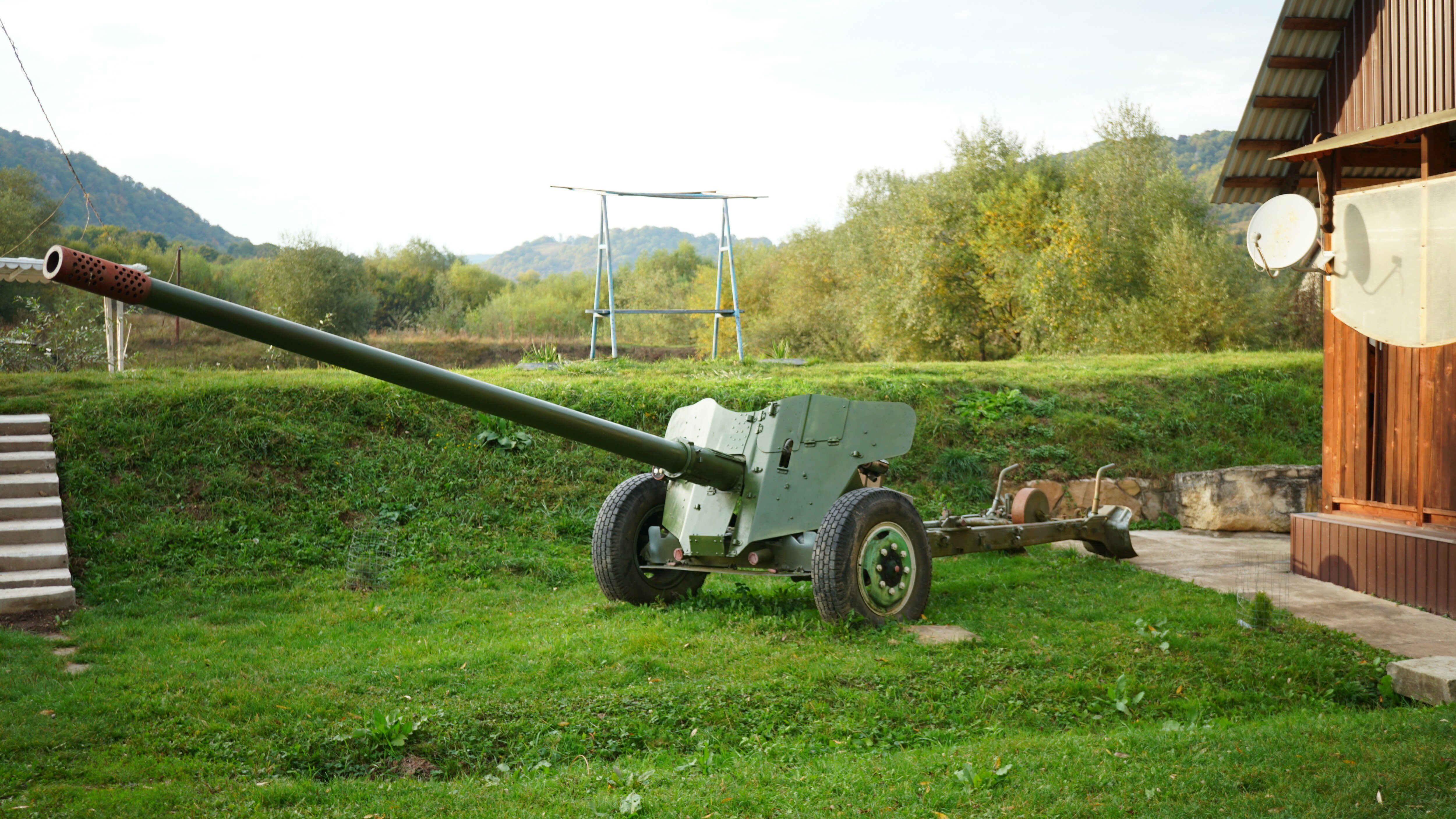 Фото Снежный Барс