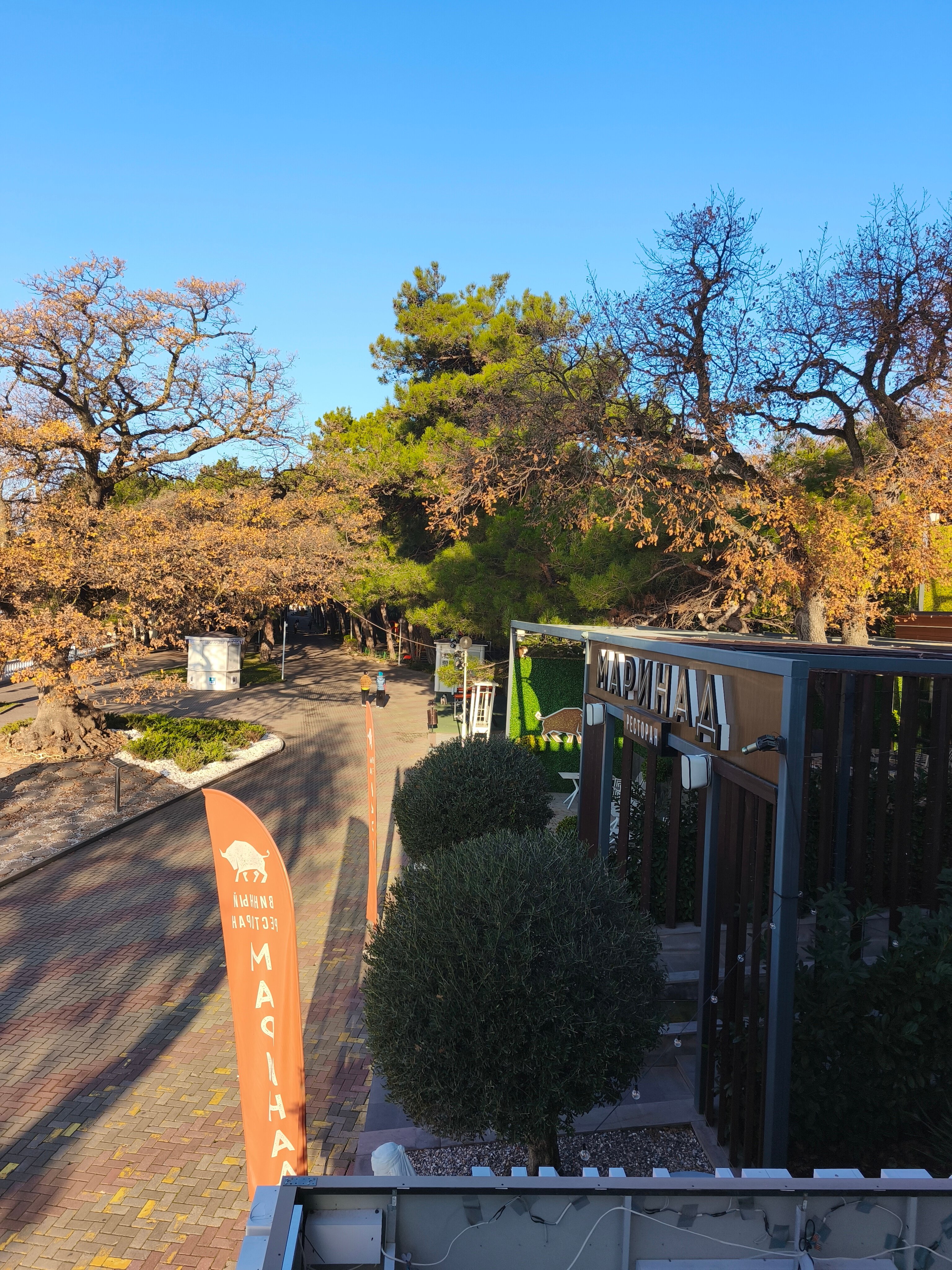 Фото Рони Шелтер