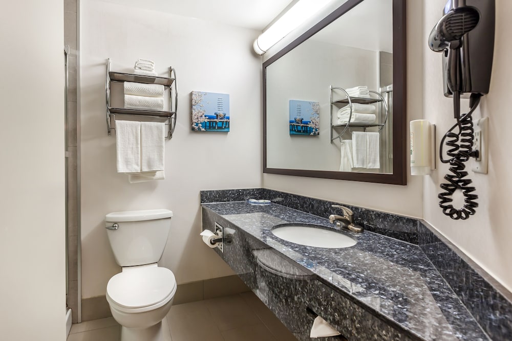 Фото Quality Hotel