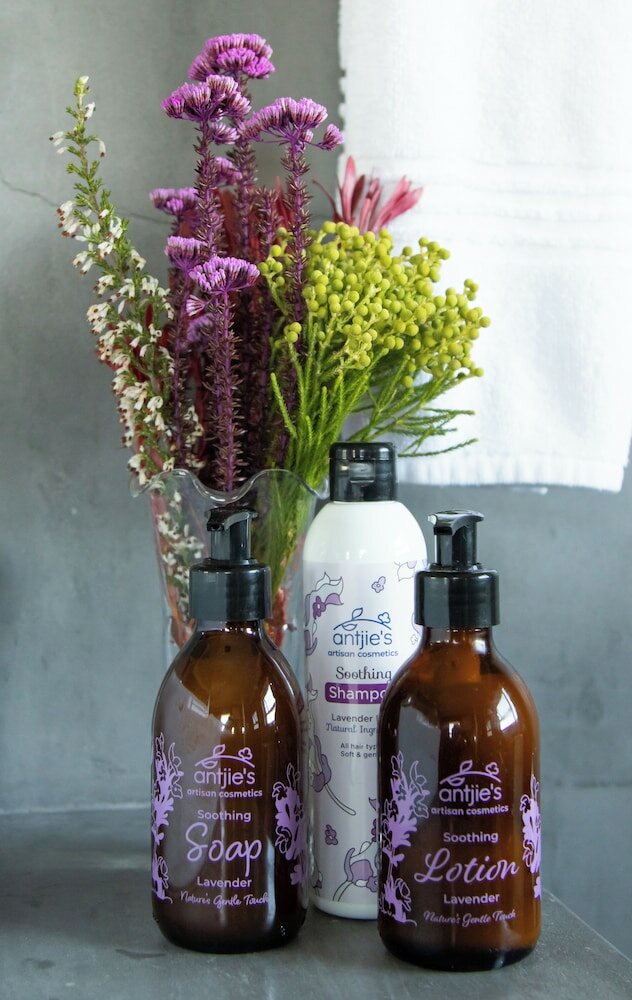 Фото White Shark Guest House