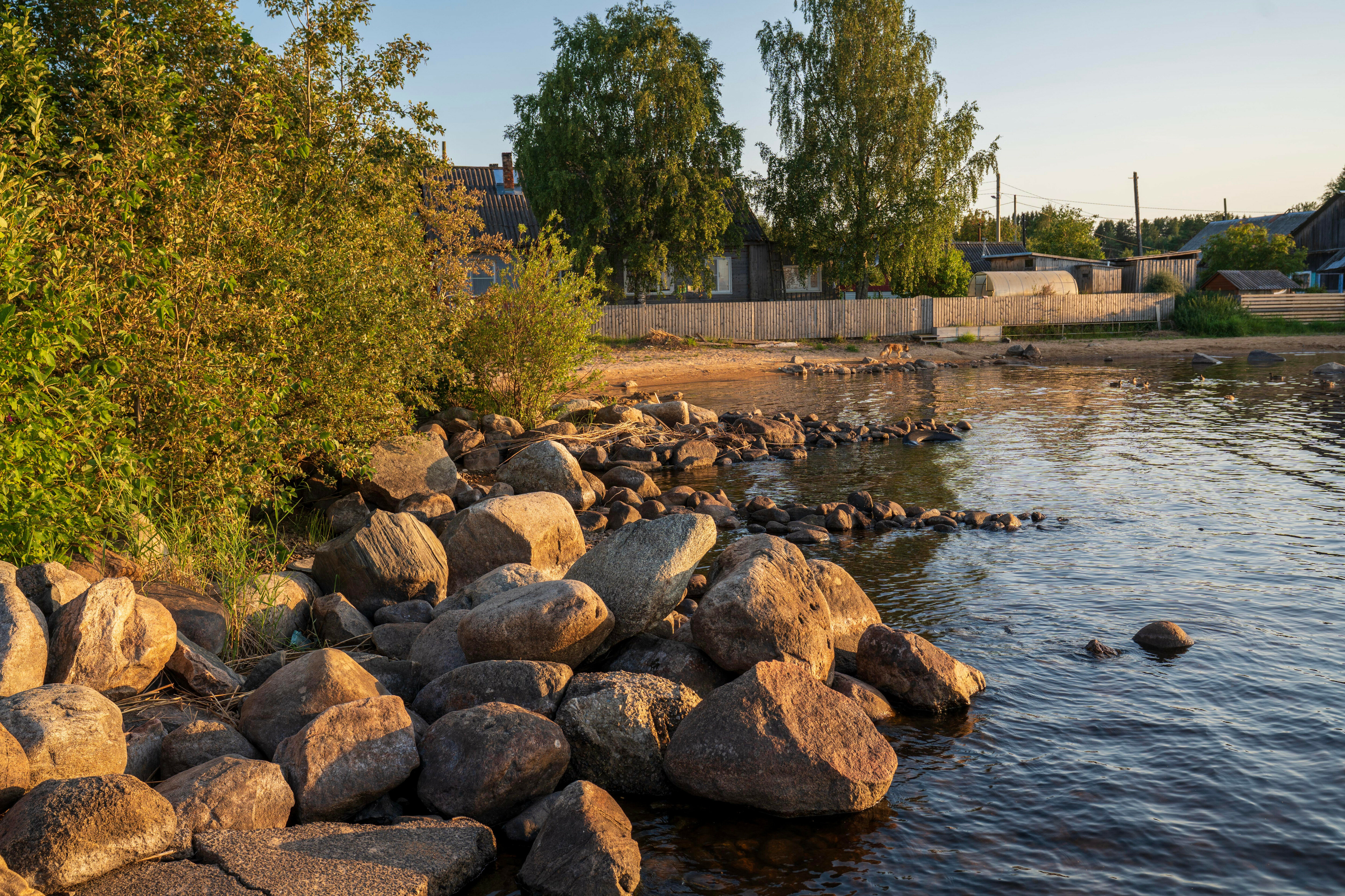 Фото Kodi järvi