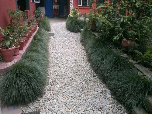 Гостиница Kiwi Backpackers Hostel Pokhara в Гандаки