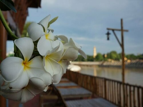 Гостиница Athithara Homestay в Аюттхае