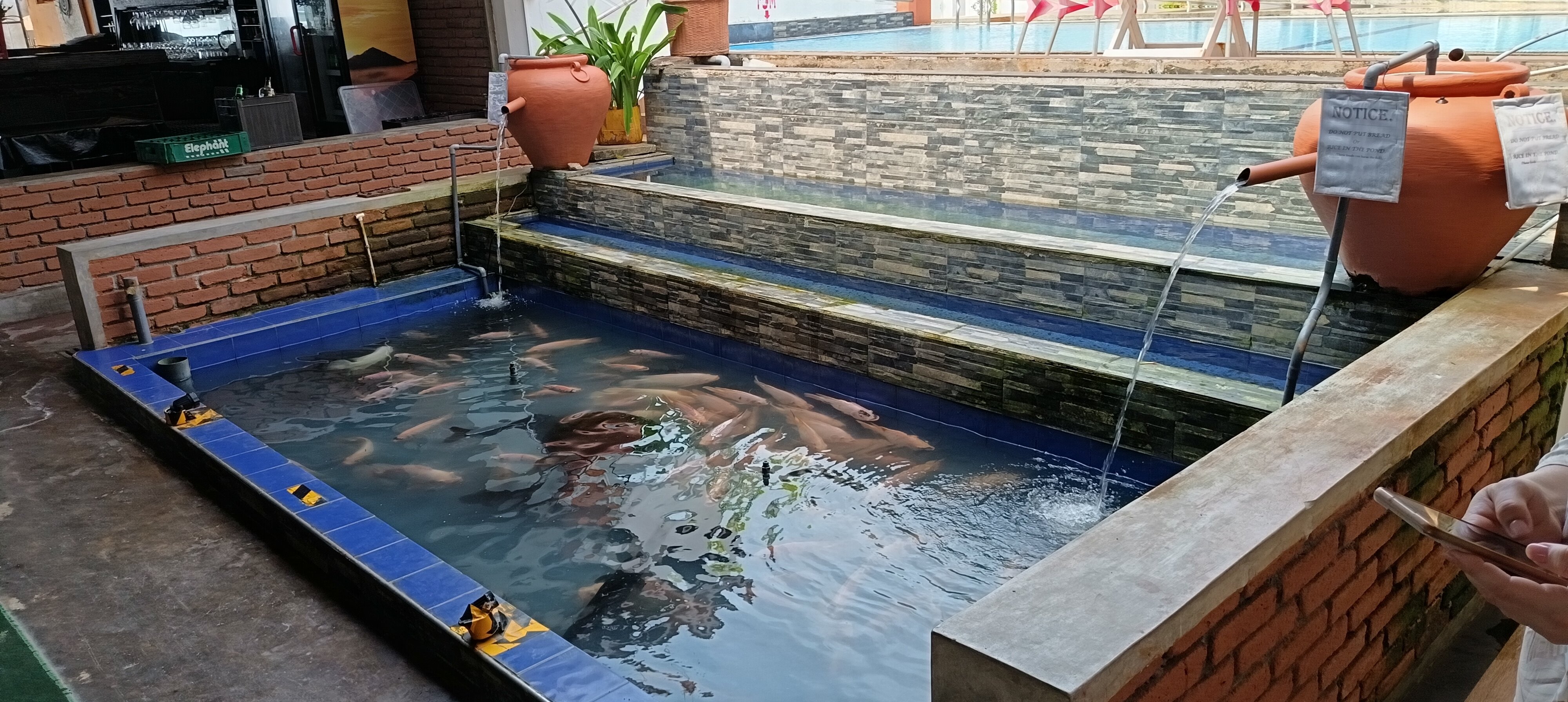 Фото Coral Sands Hotel