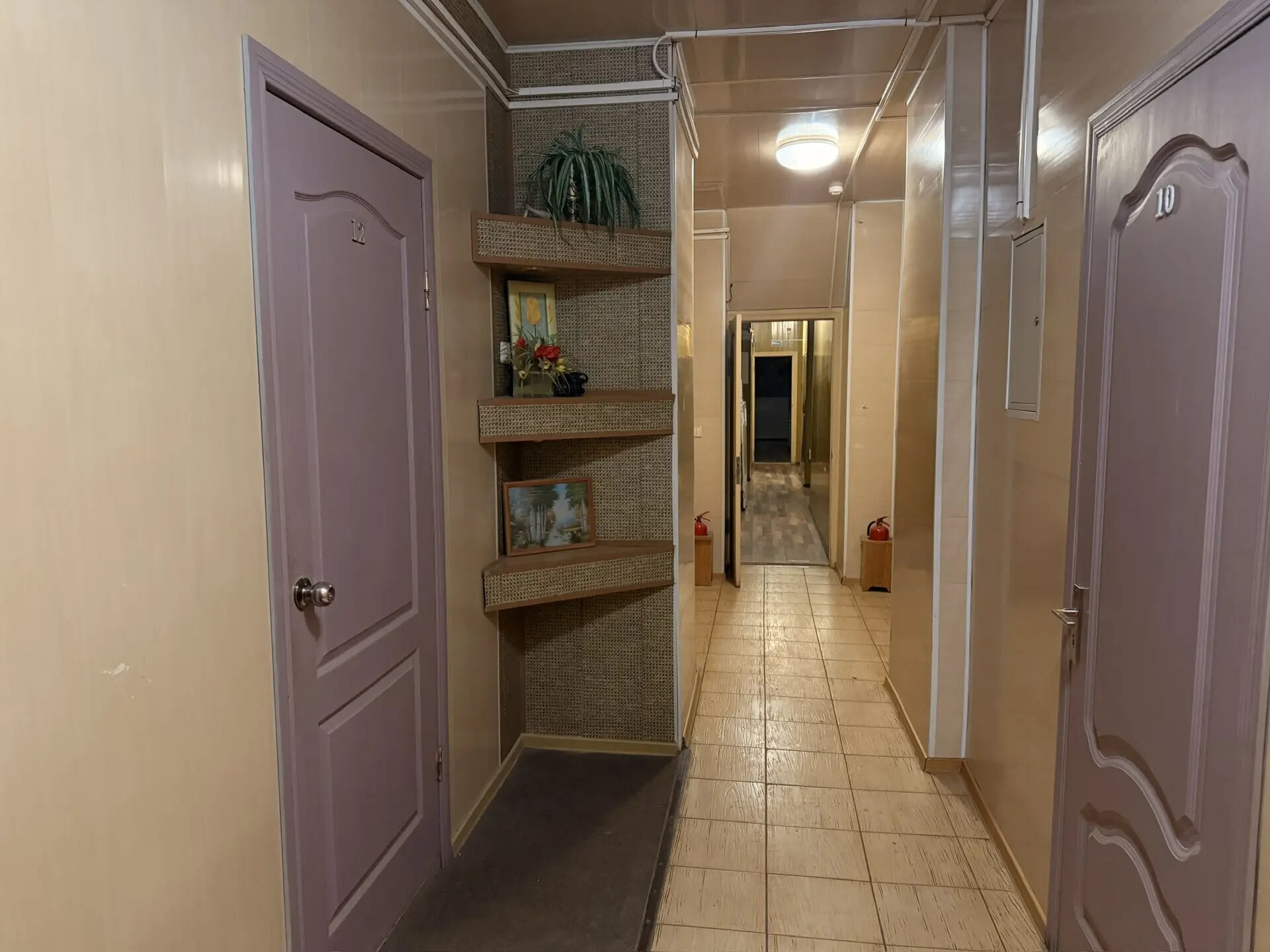 Фото Дельта