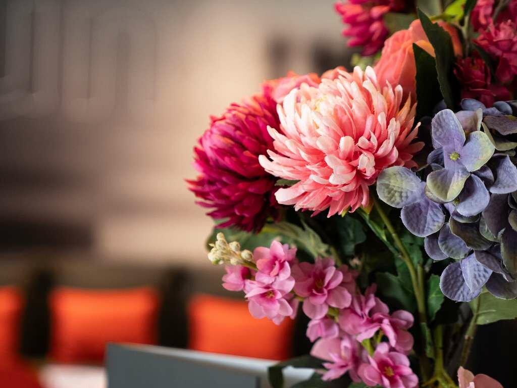 Фото Ibis Saint-Denis Stade Ouest