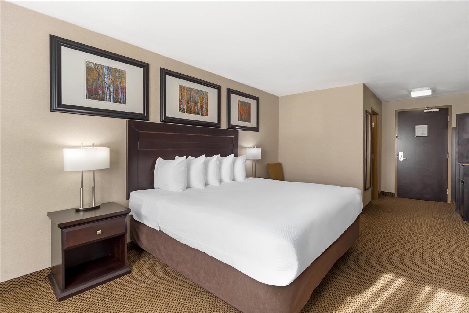 Фото Best Western Bonnyville Inn & Suites