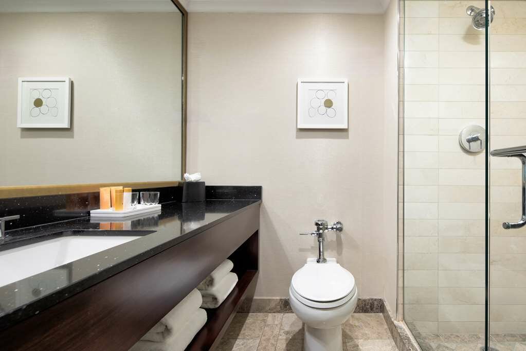 Фото Amway Grand Plaza, Curio Collection by Hilton
