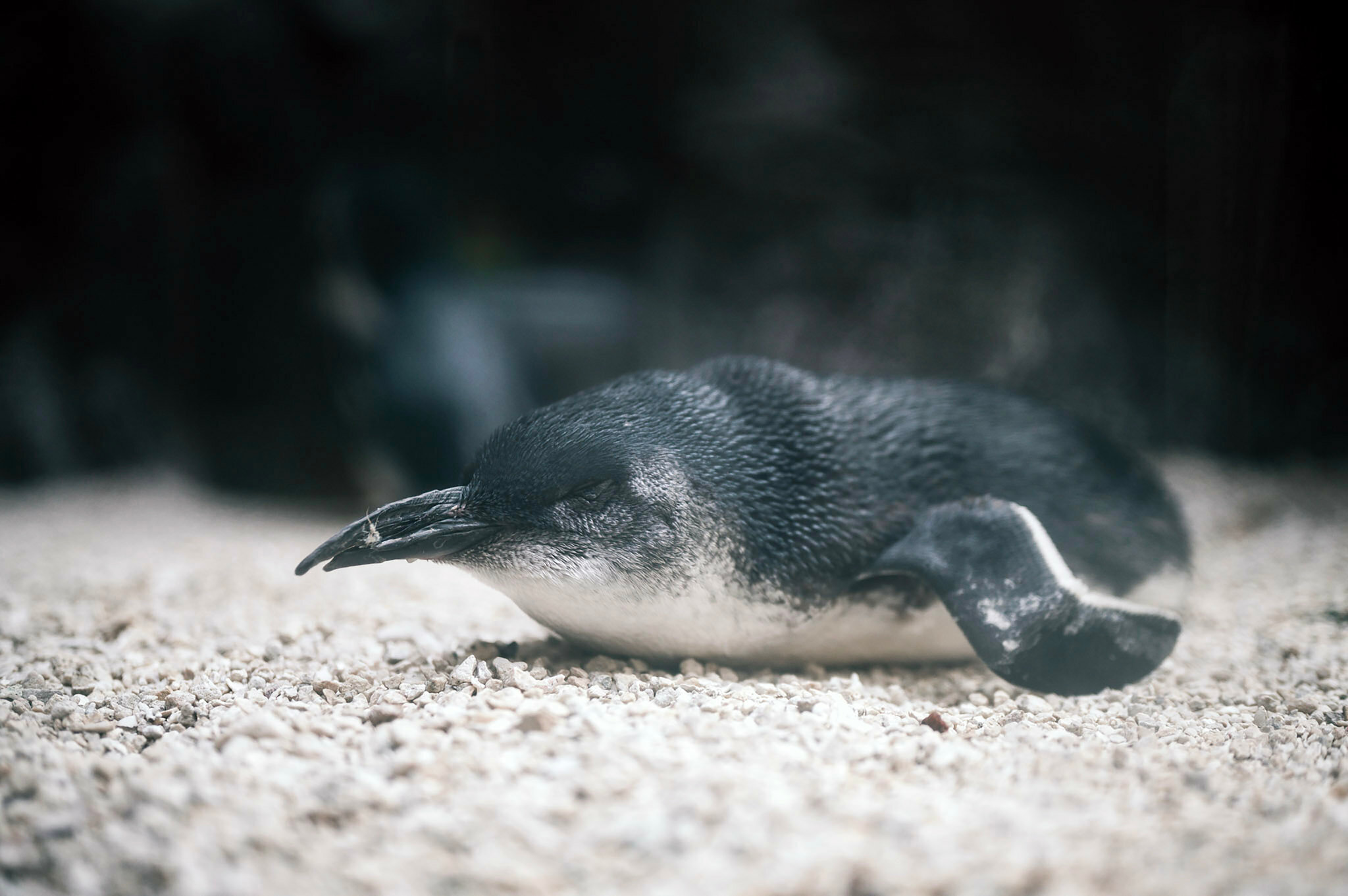 Фото Crowne Plaza Dallas Downtown