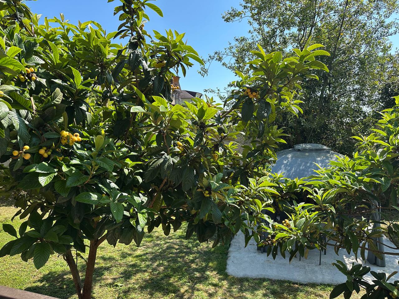 Фото Гостевой дом пр-к Вокзальный 1