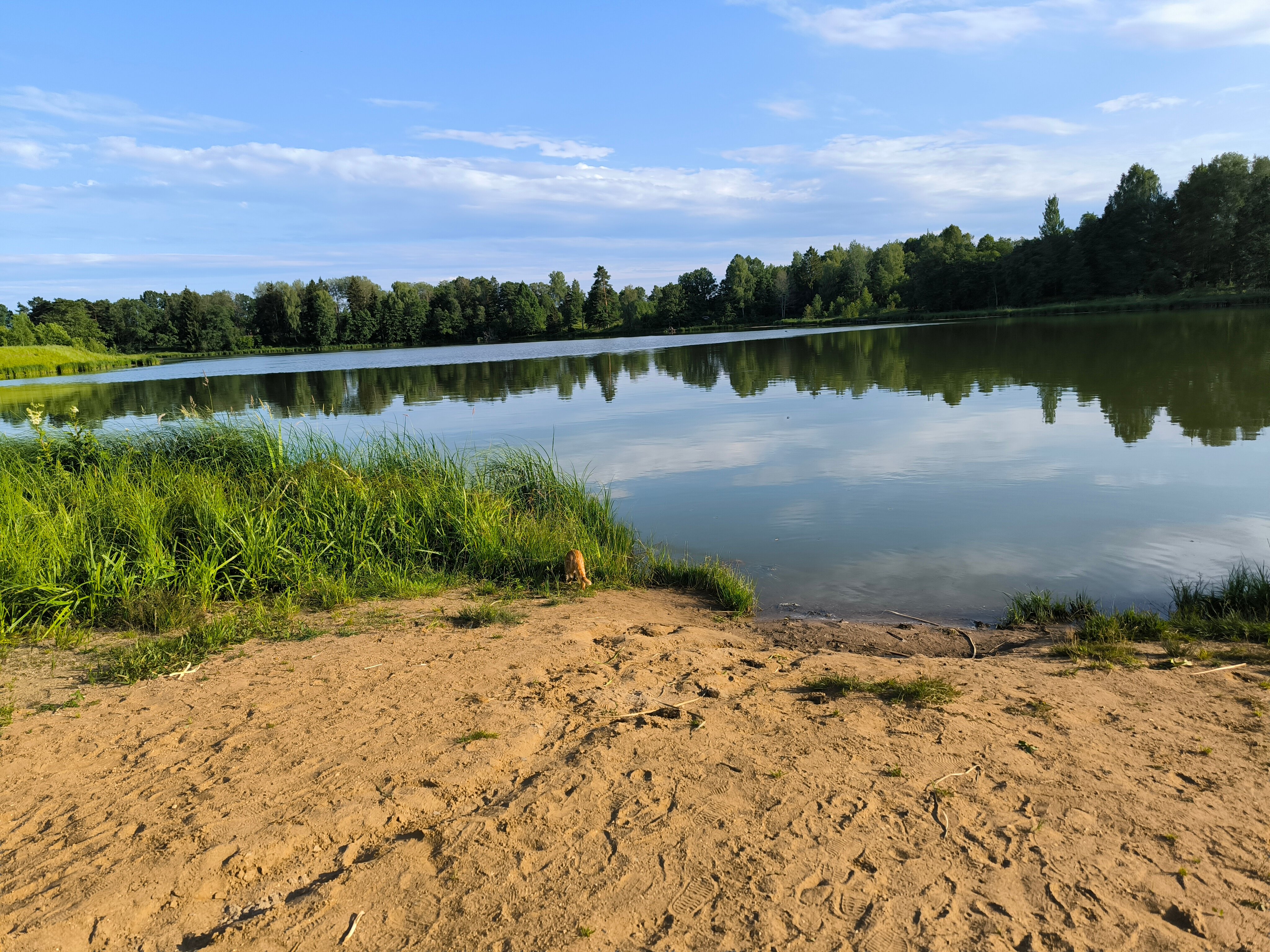 Фото Iliynka Village