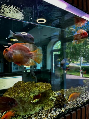 Гостиница Премьер в Ижевске