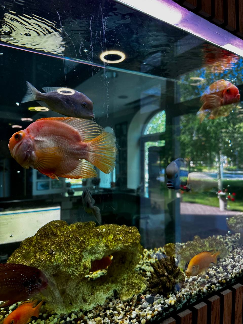 Фото Премьер