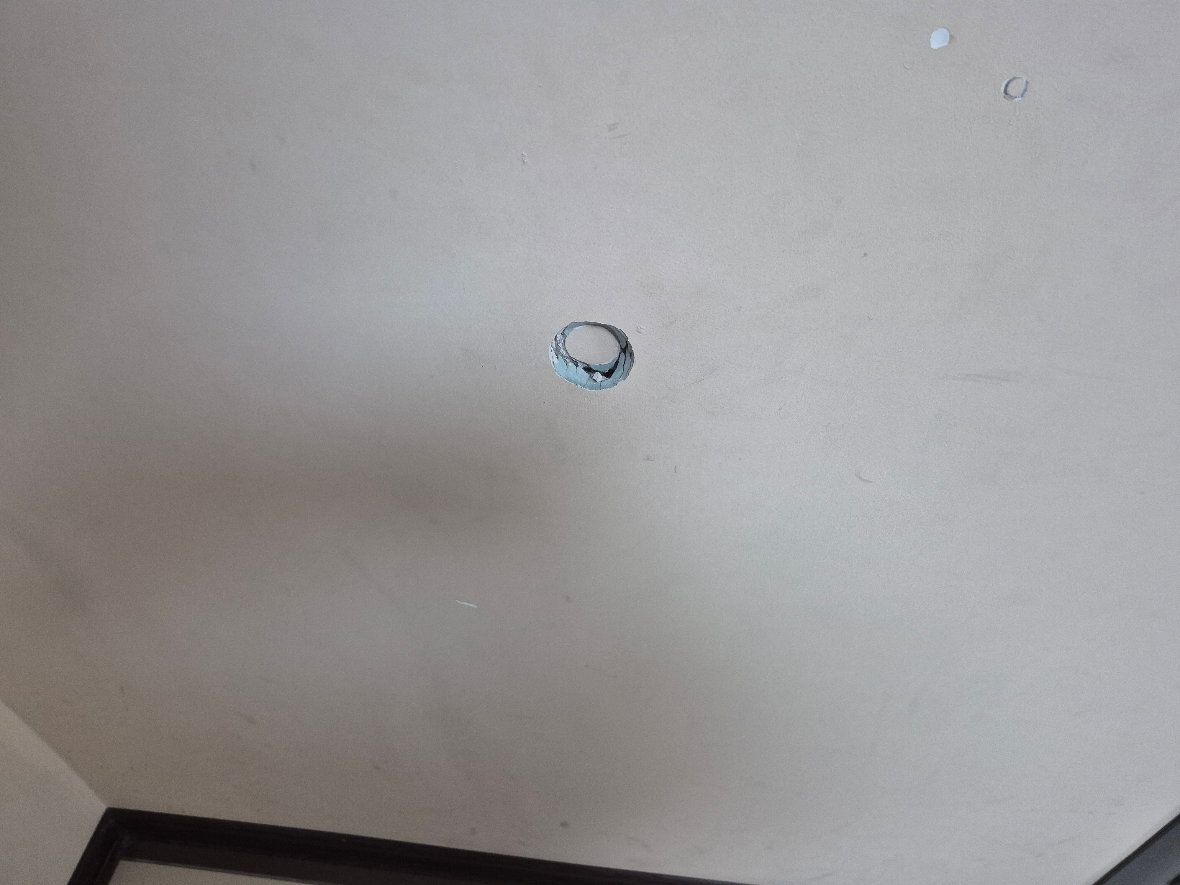 Фото Лесная