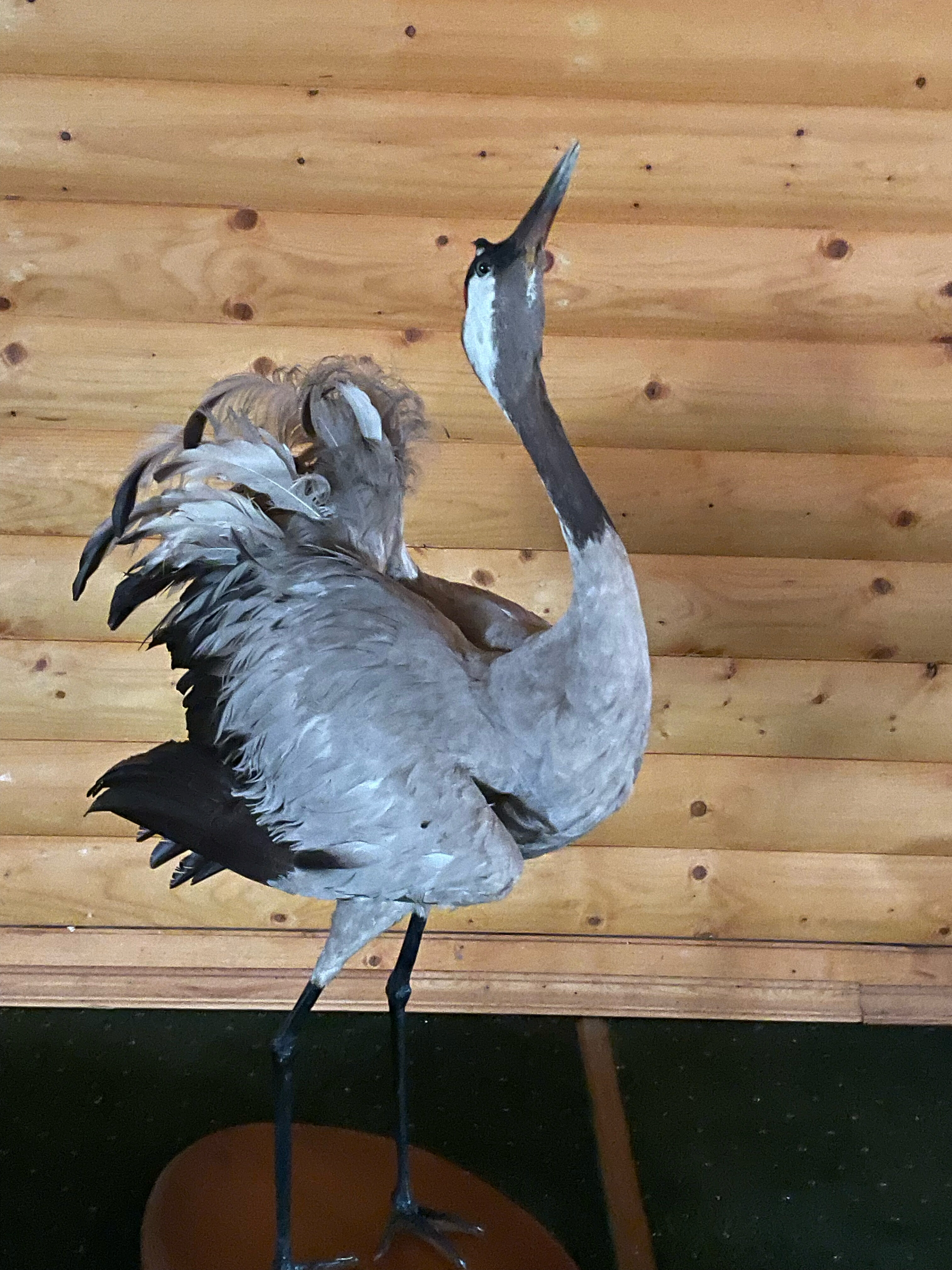 Фото Семь Островов