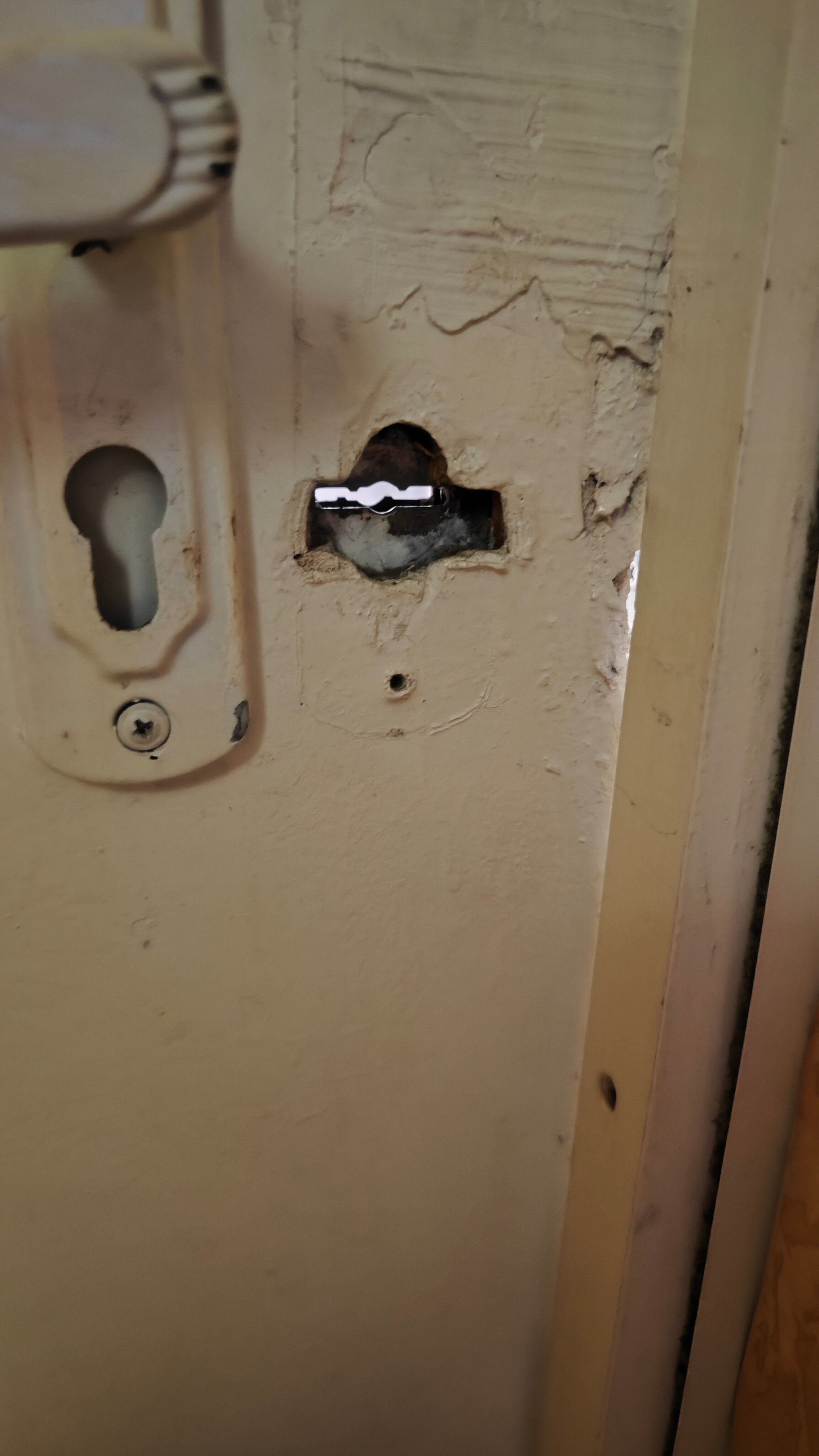 Фото Речная