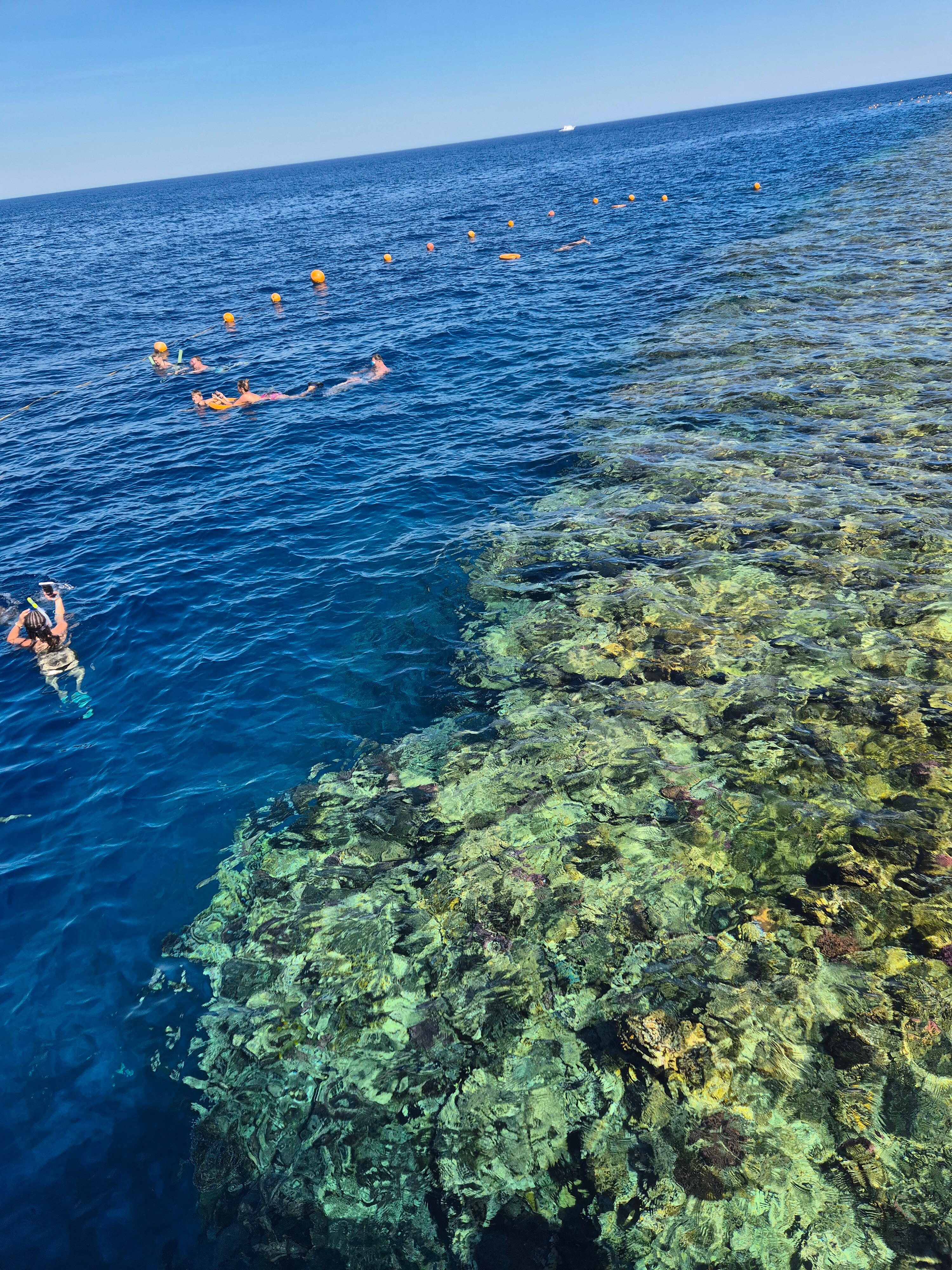 Фото Amphoras Aqua