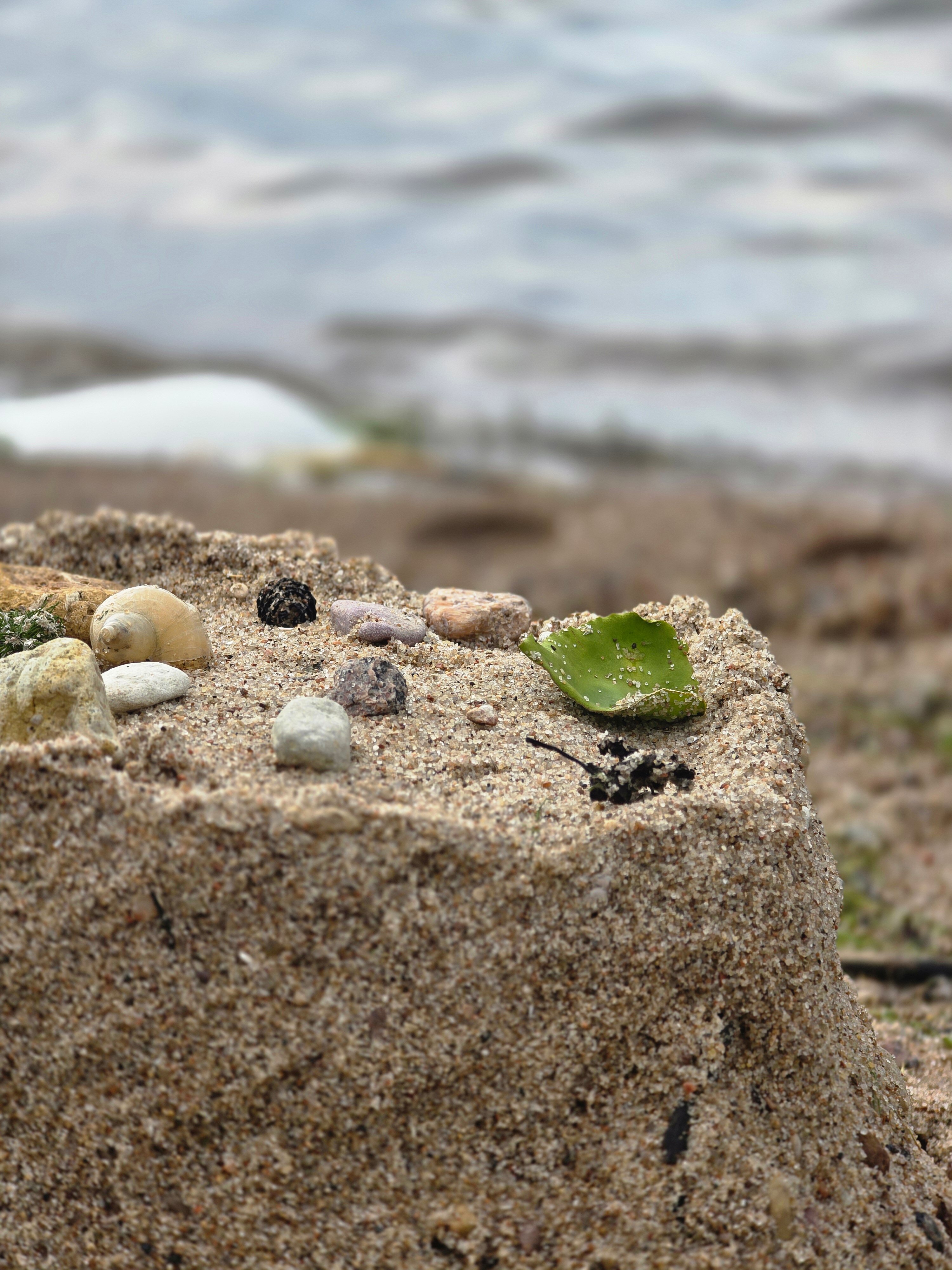 Фото Усадьба Абузерье