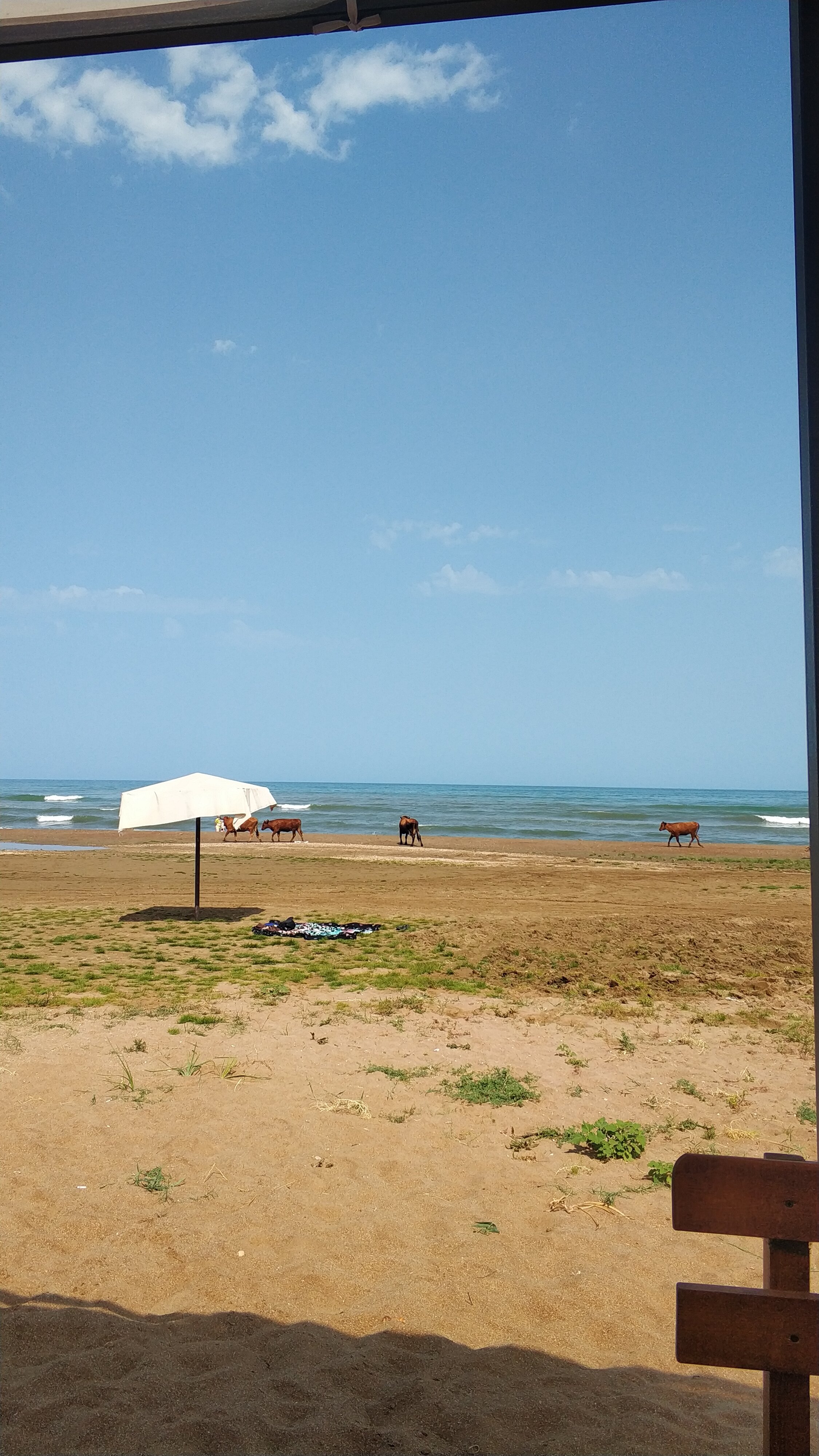 Фото Солнце