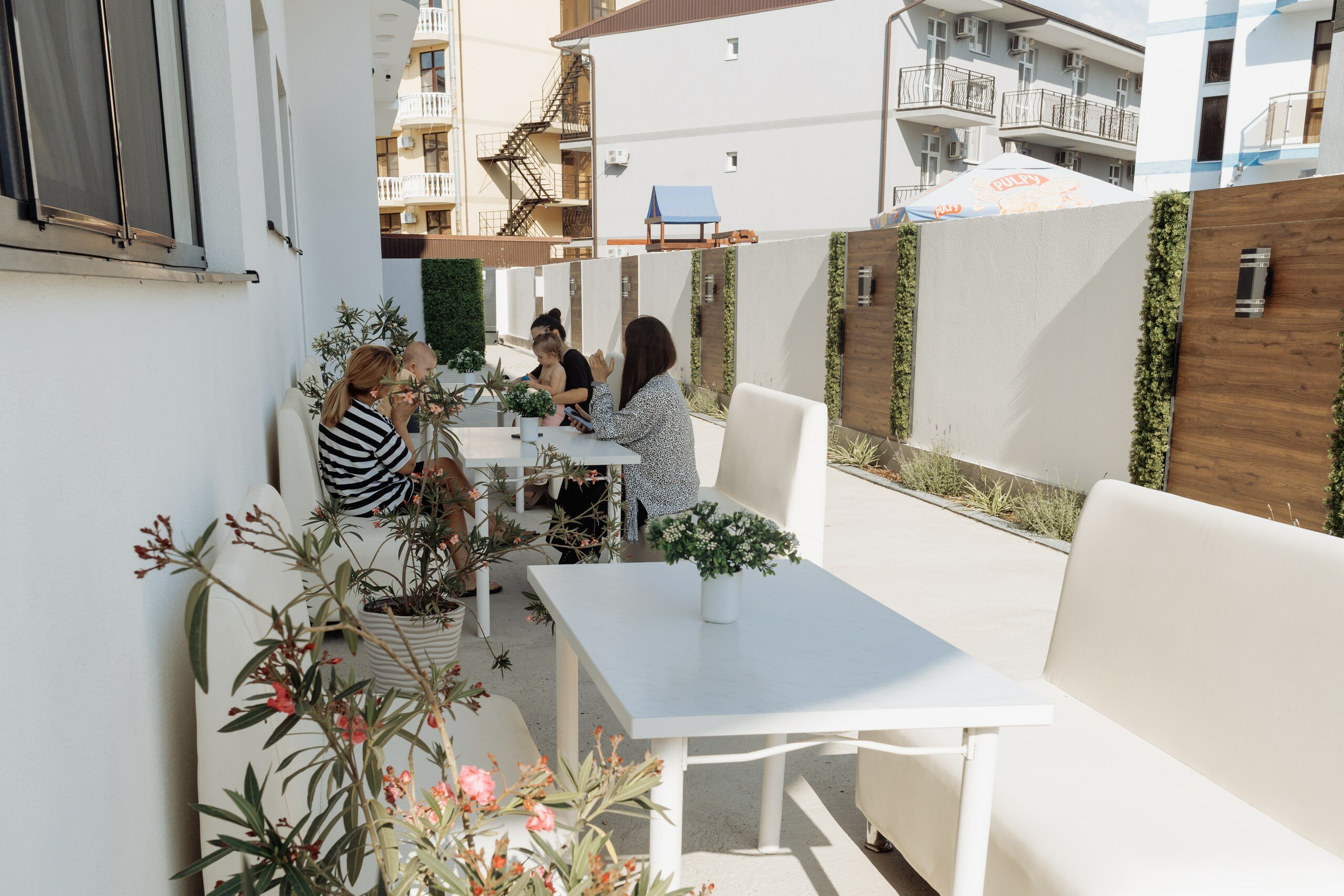 Фото Филоксения