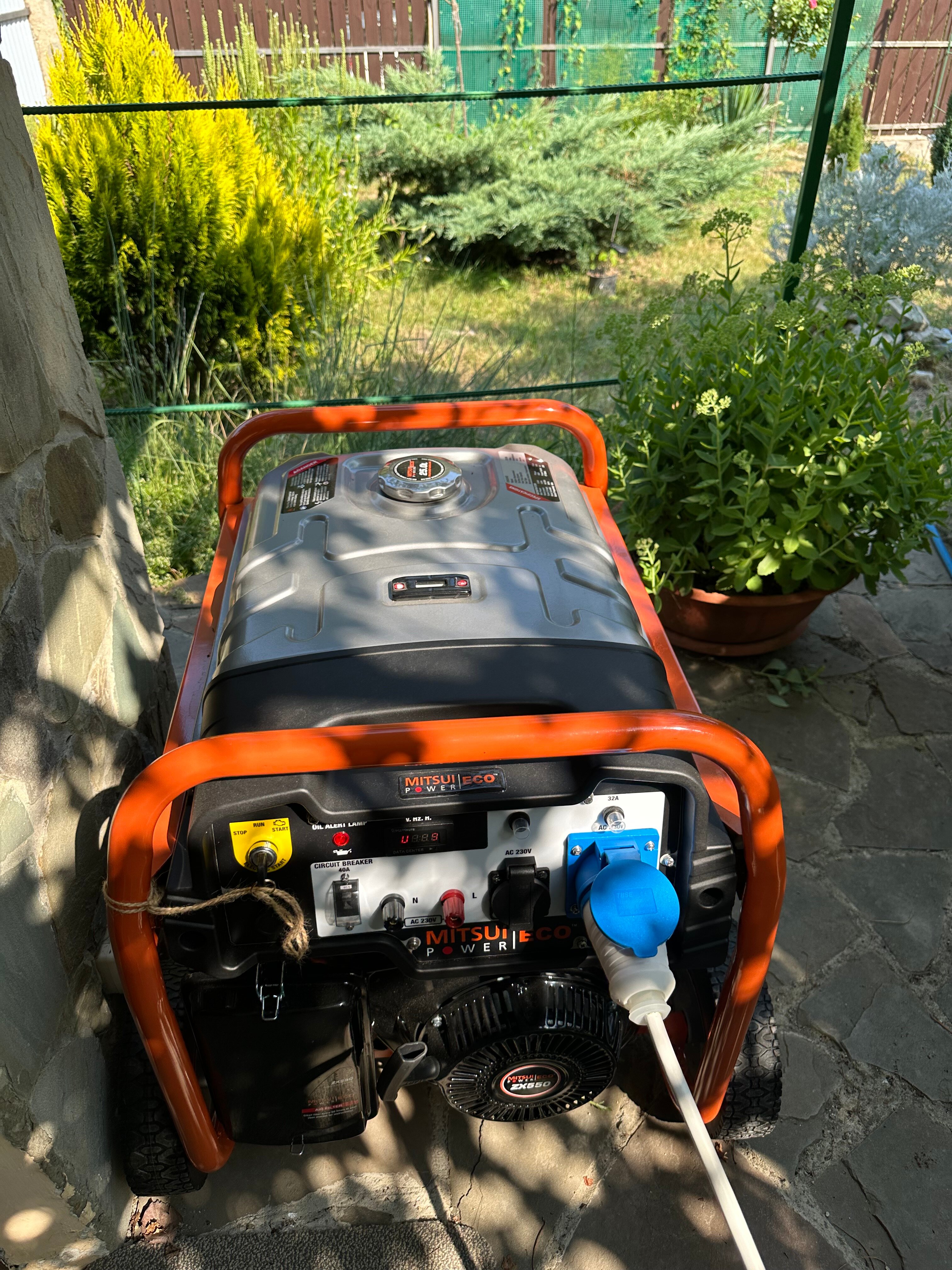 Фото Лесной домик Ель