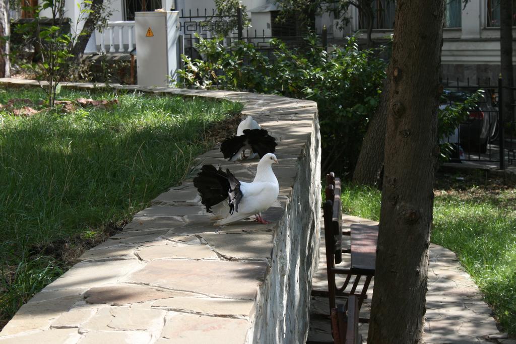 Фото Рубикон