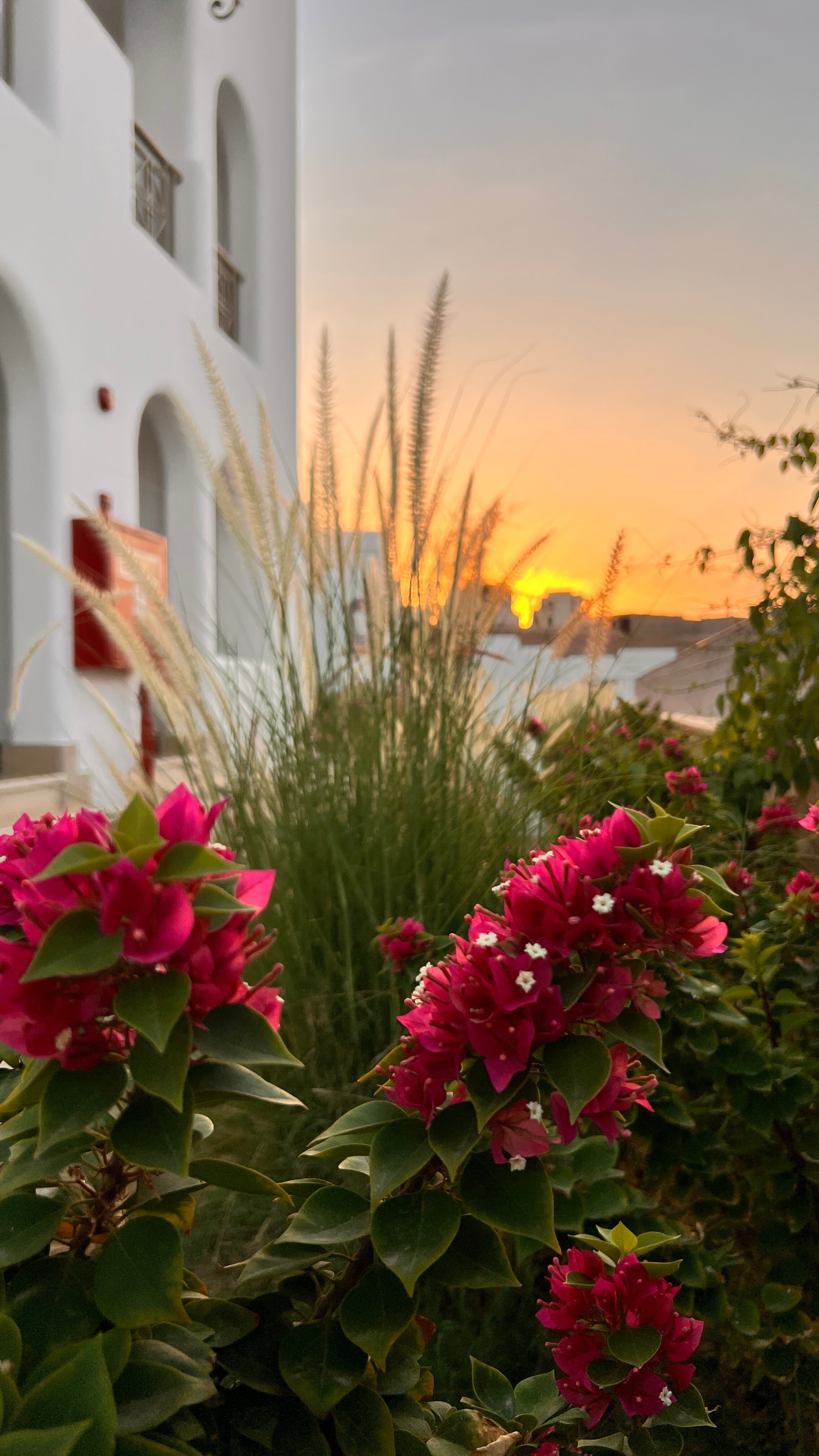 Фото Novotel Sharm El Sheik