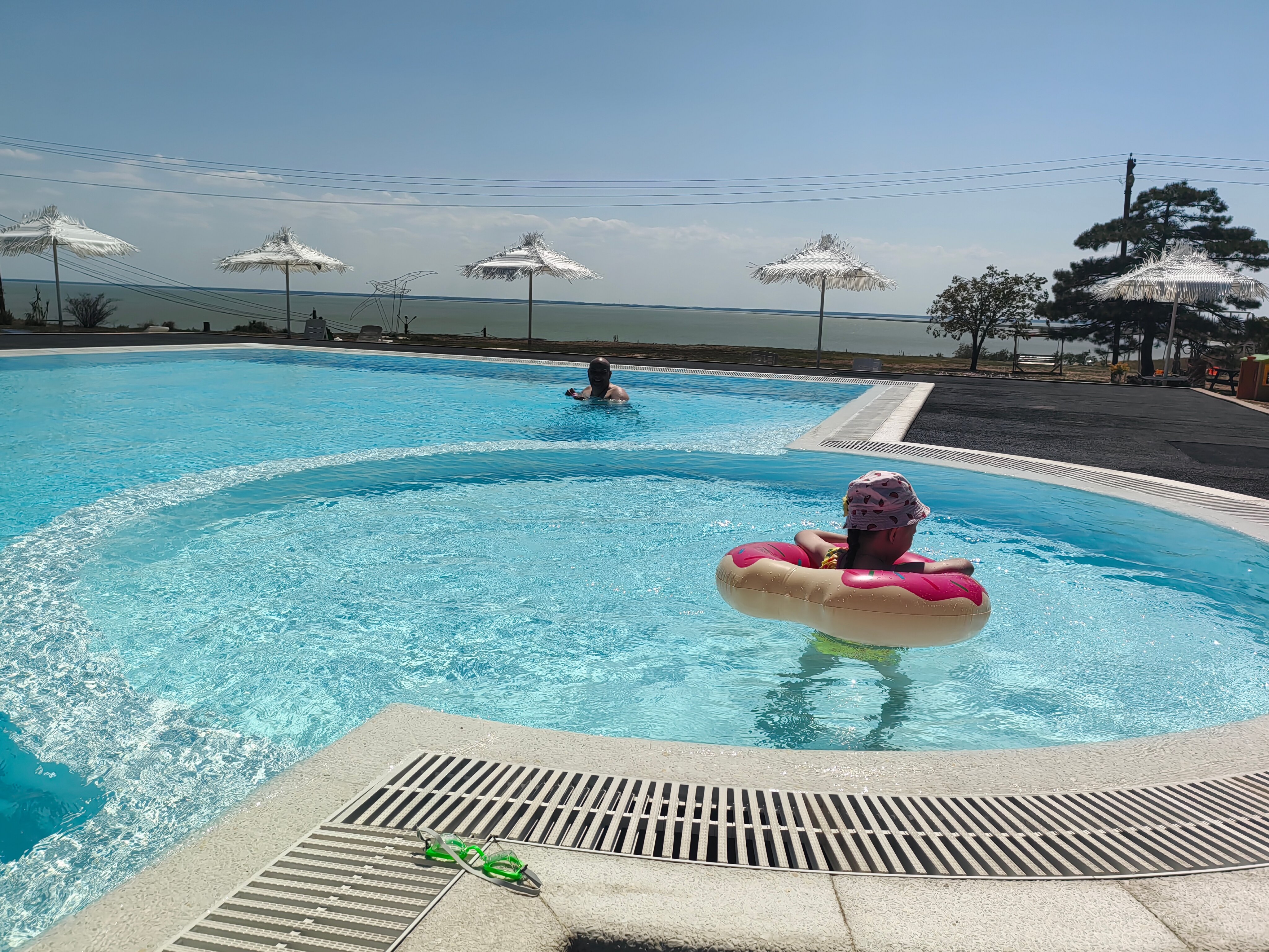 Фото Альбатрос