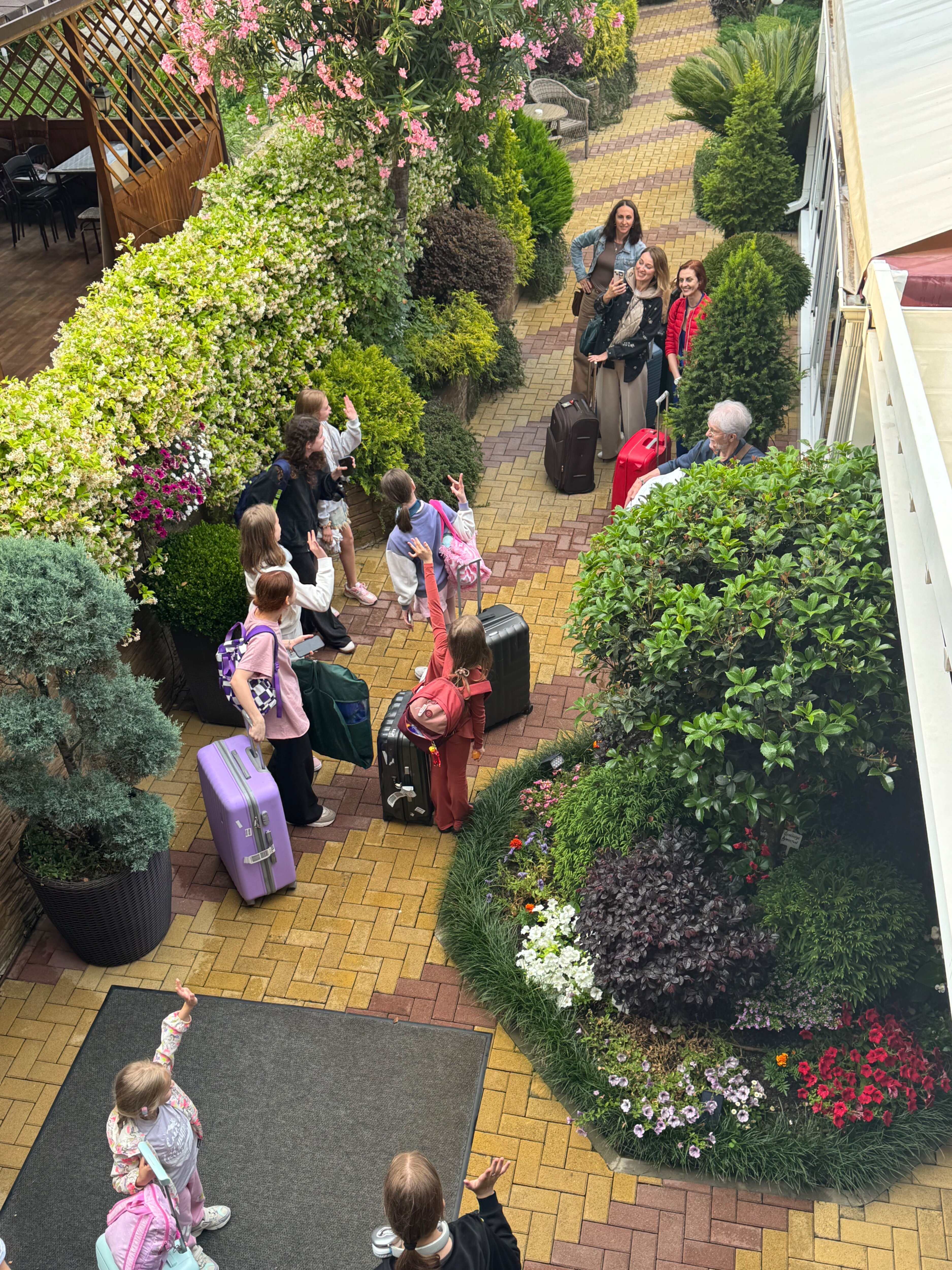 Фото Дельфин