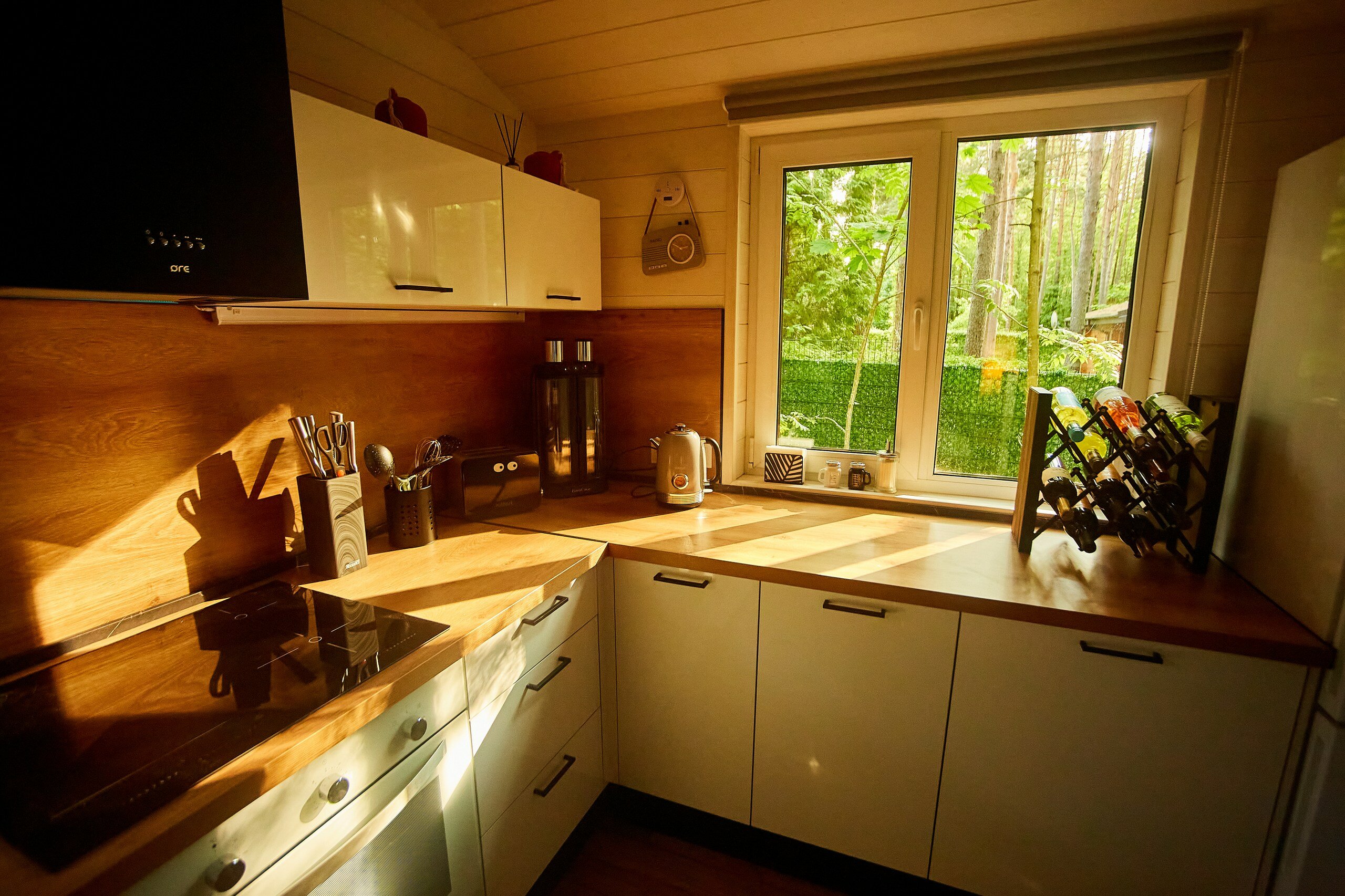 Фото Репинские дачи