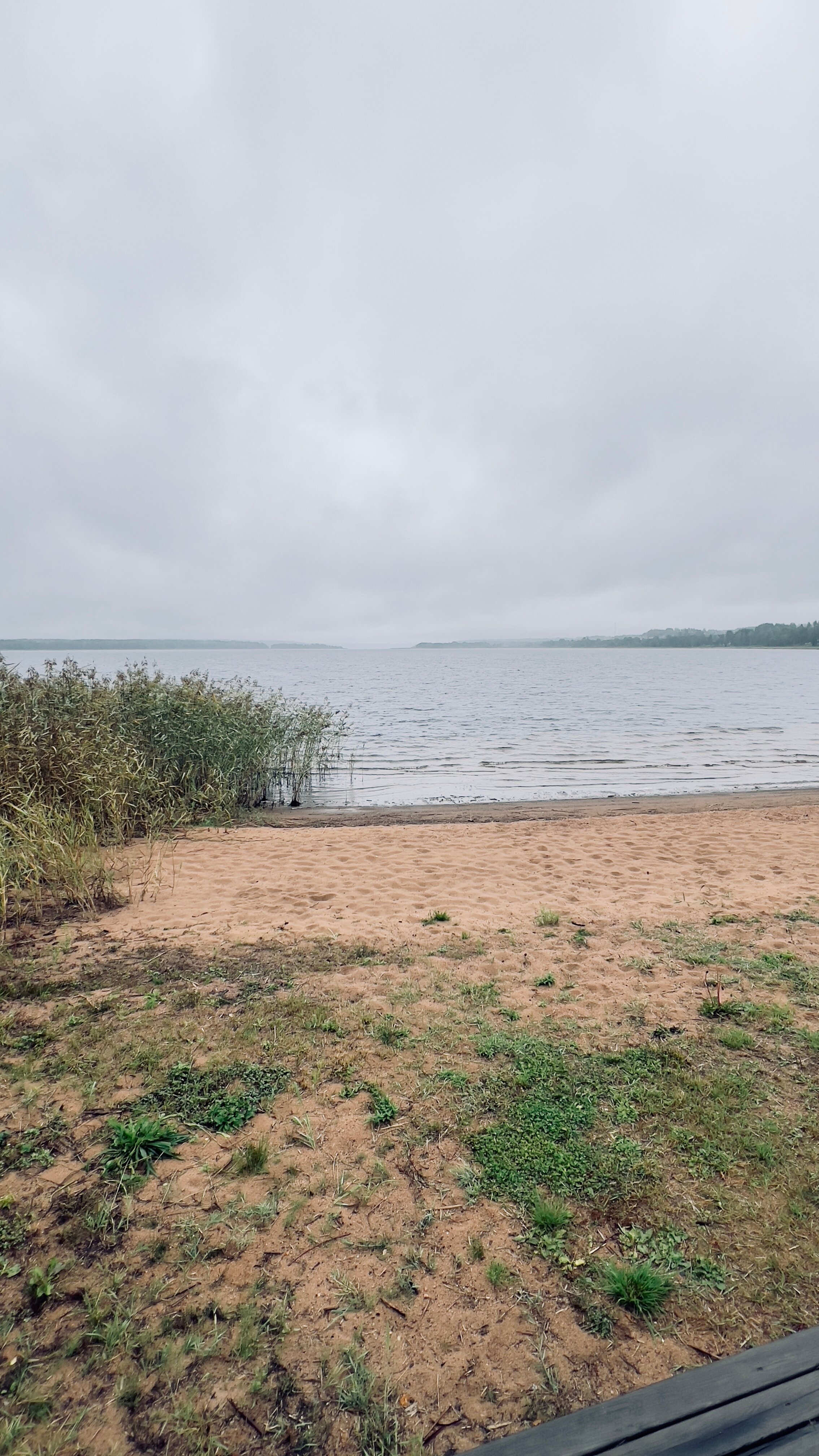 Фото Сильвер