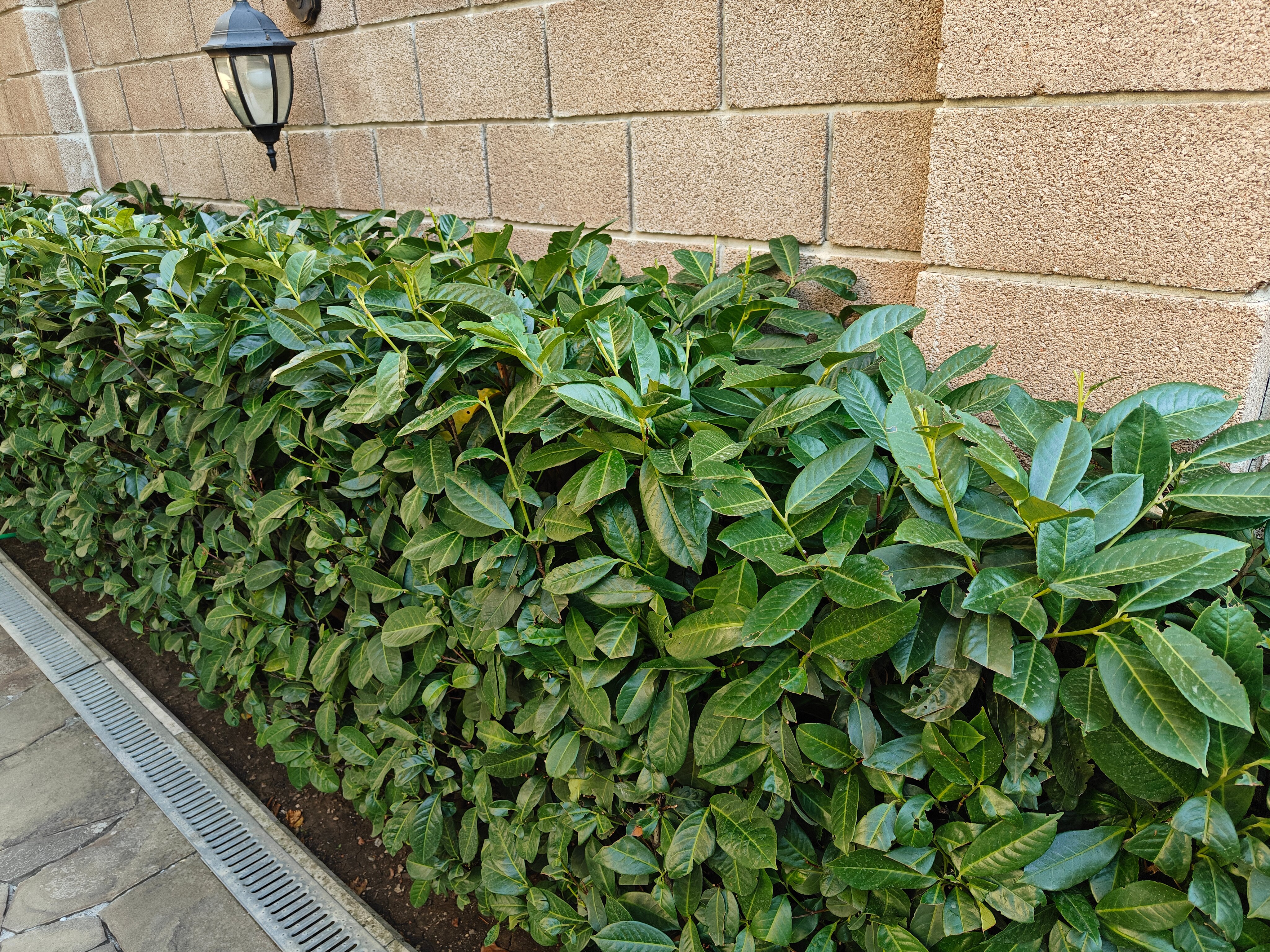 Фото Пейзаж