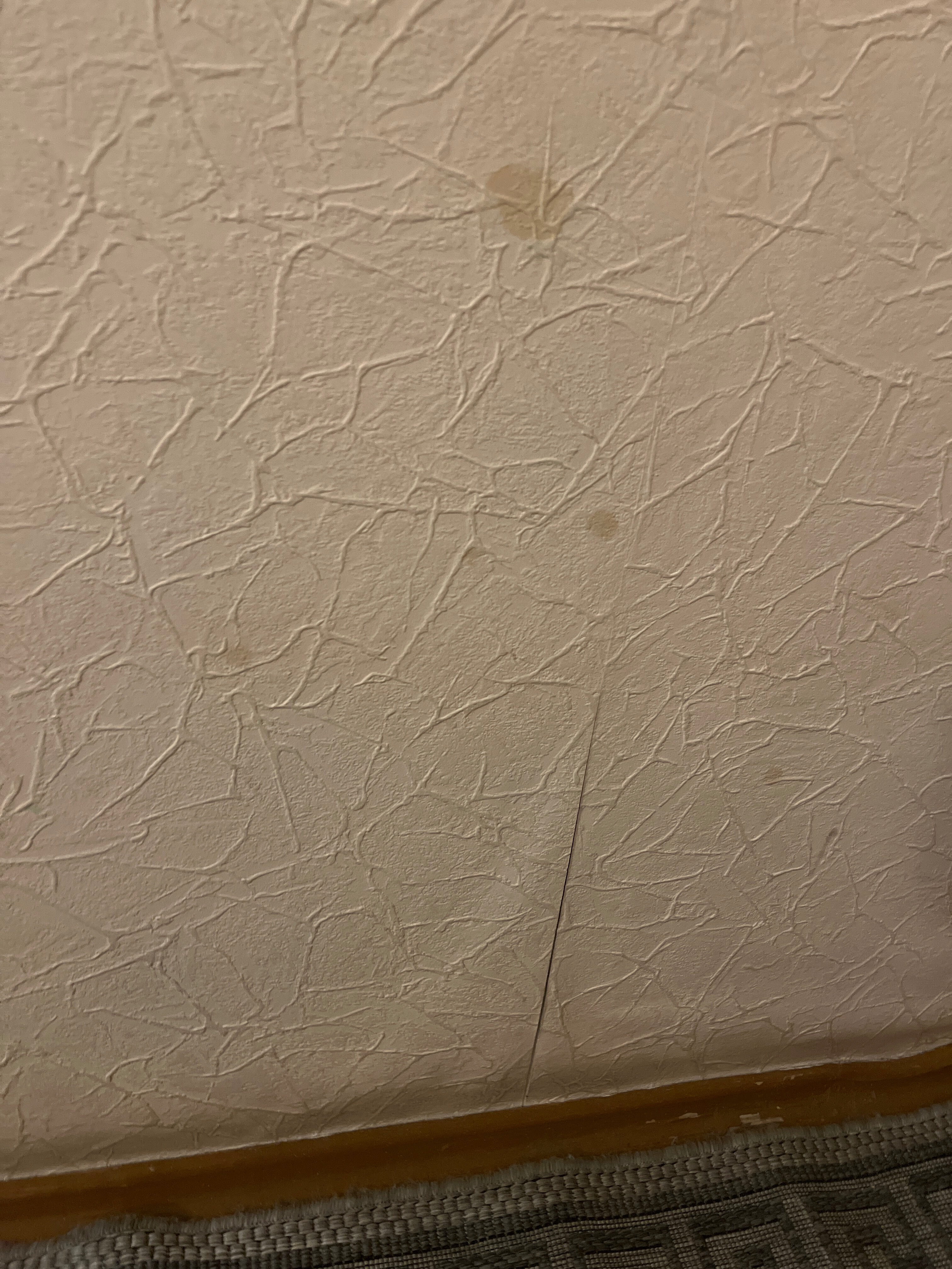 Фото Кемпинг на Тракте