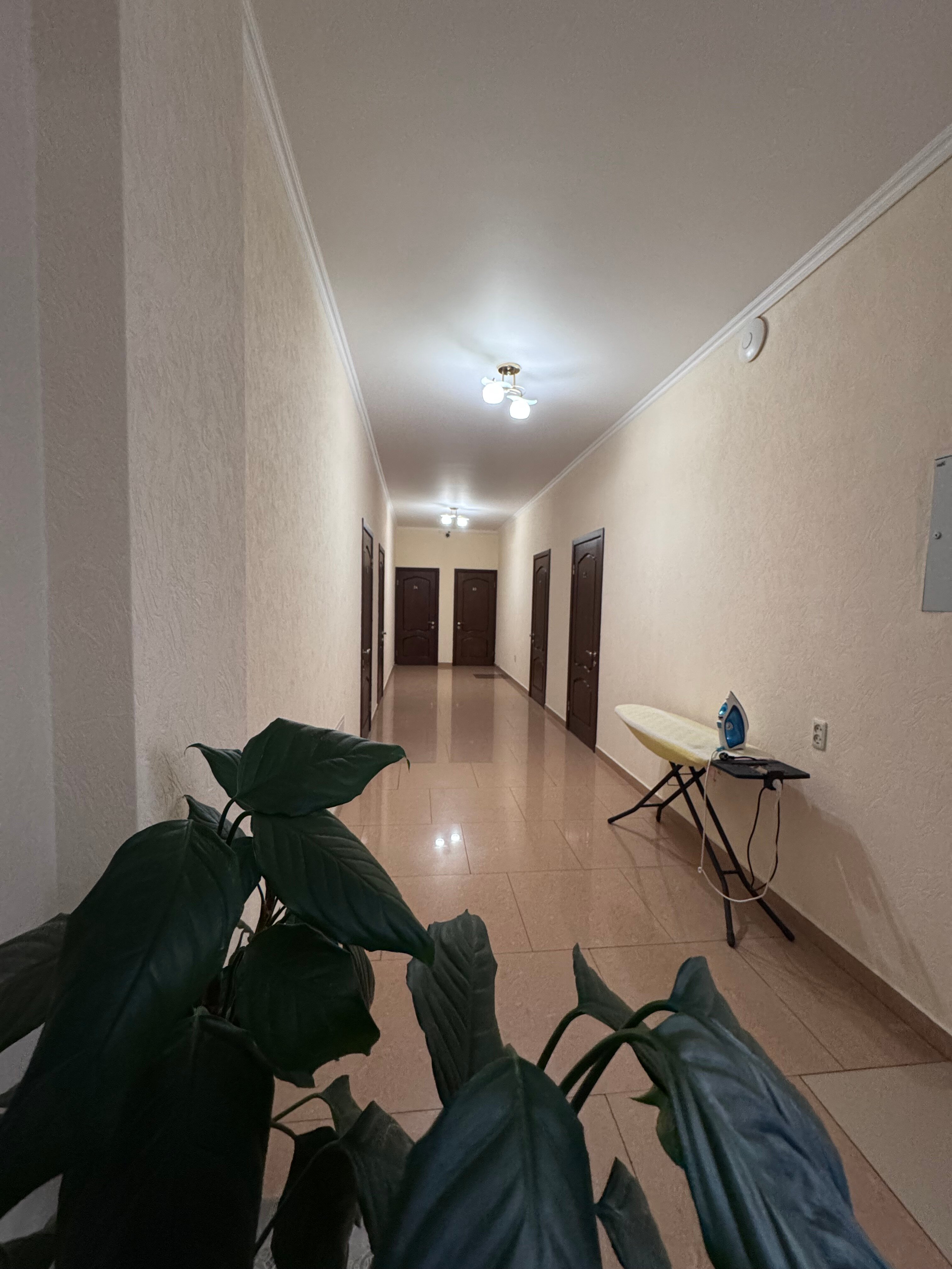 Фото Дас Хаус