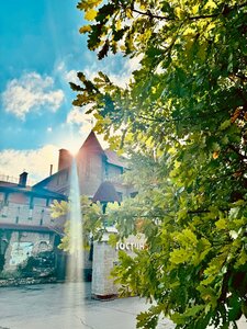 Иное жильё Замок в долине