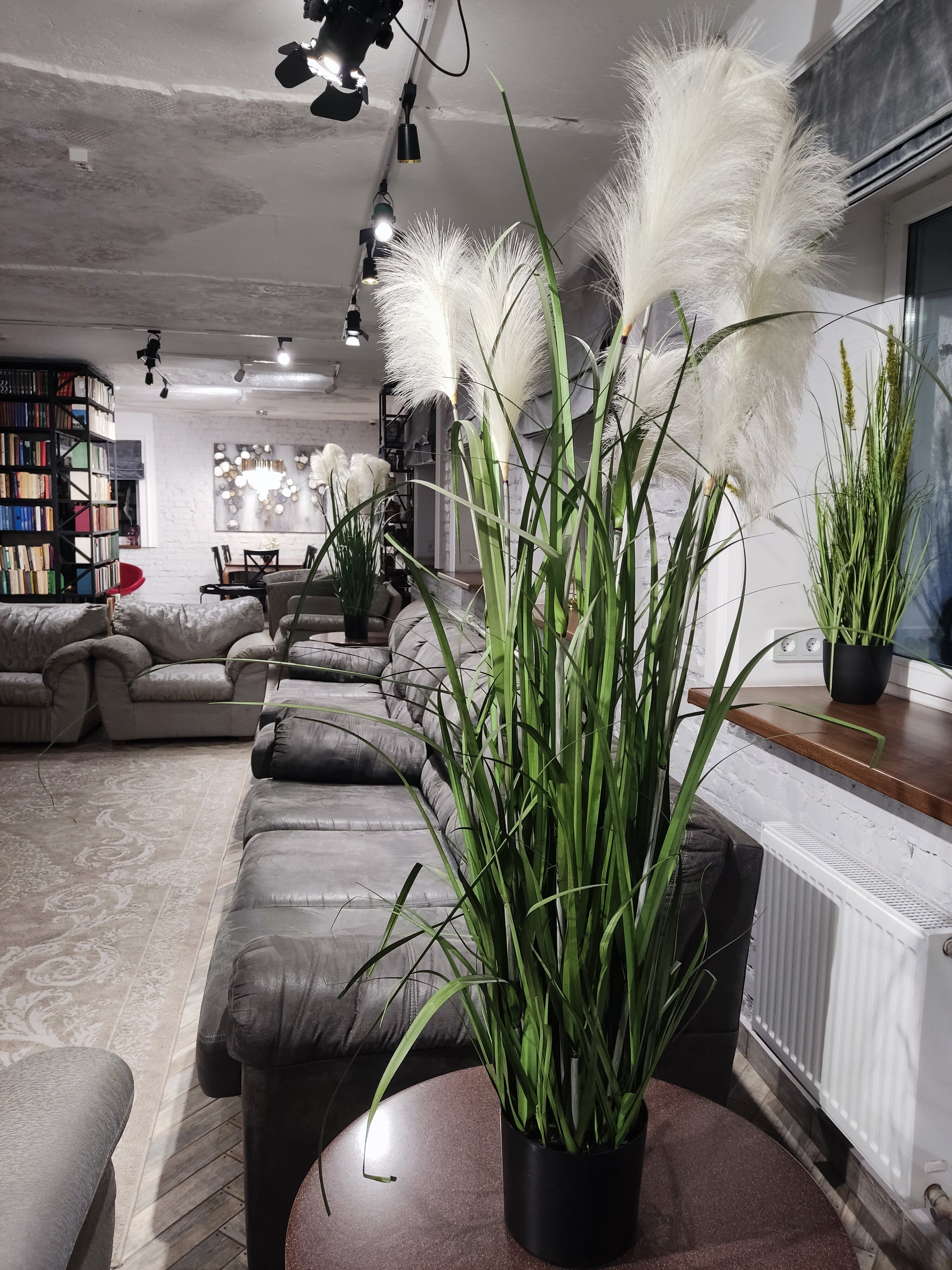 Фото Подмосковье