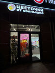 Цветочки от Солнышка (ulitsa Volontyorov, 2А), flower shop
