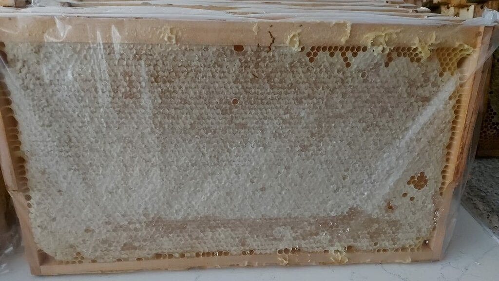 Honey and beekeeping Pazaryoluaricilik, Izmir, photo