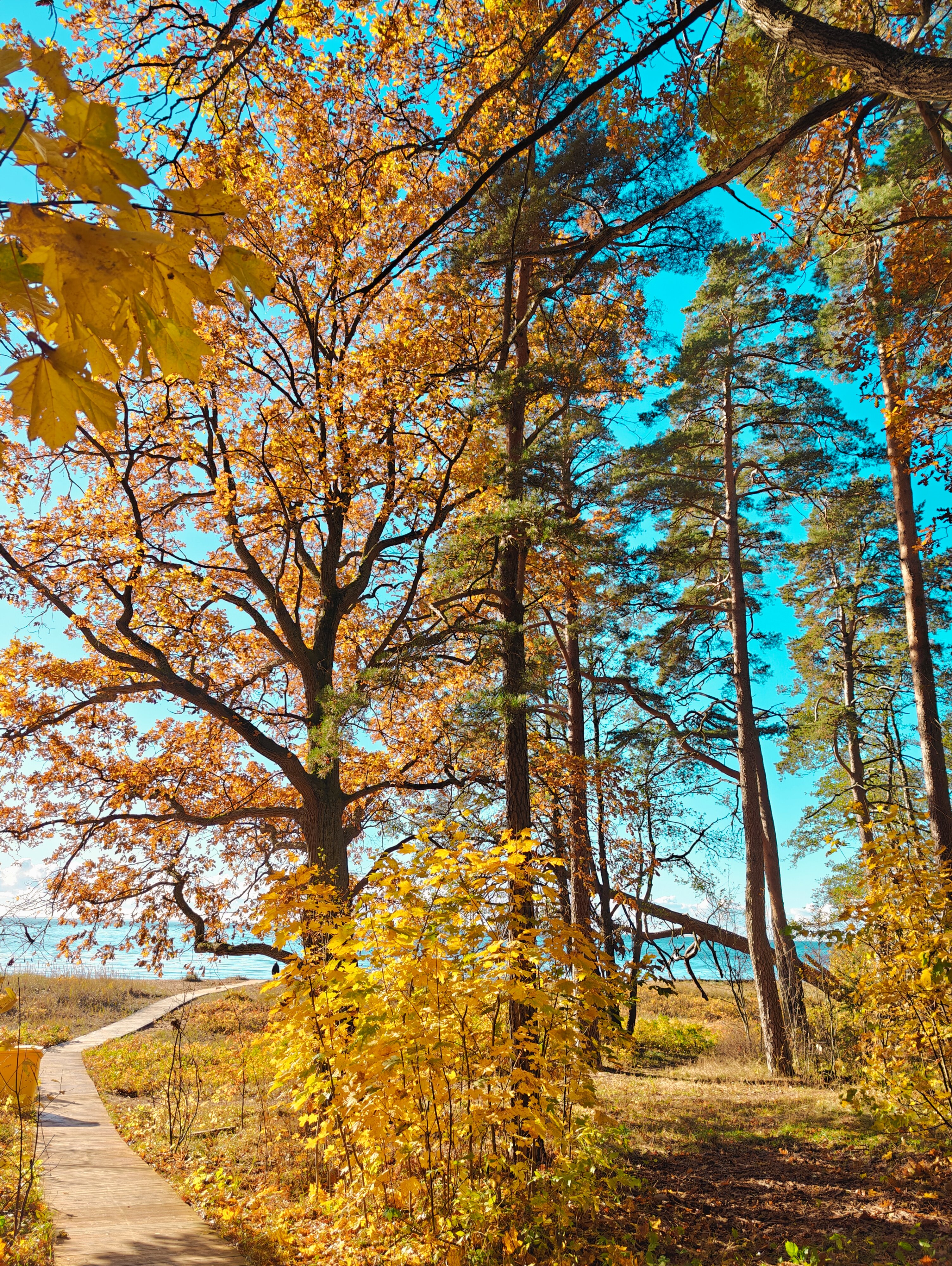 Фото Ривьера Апарт