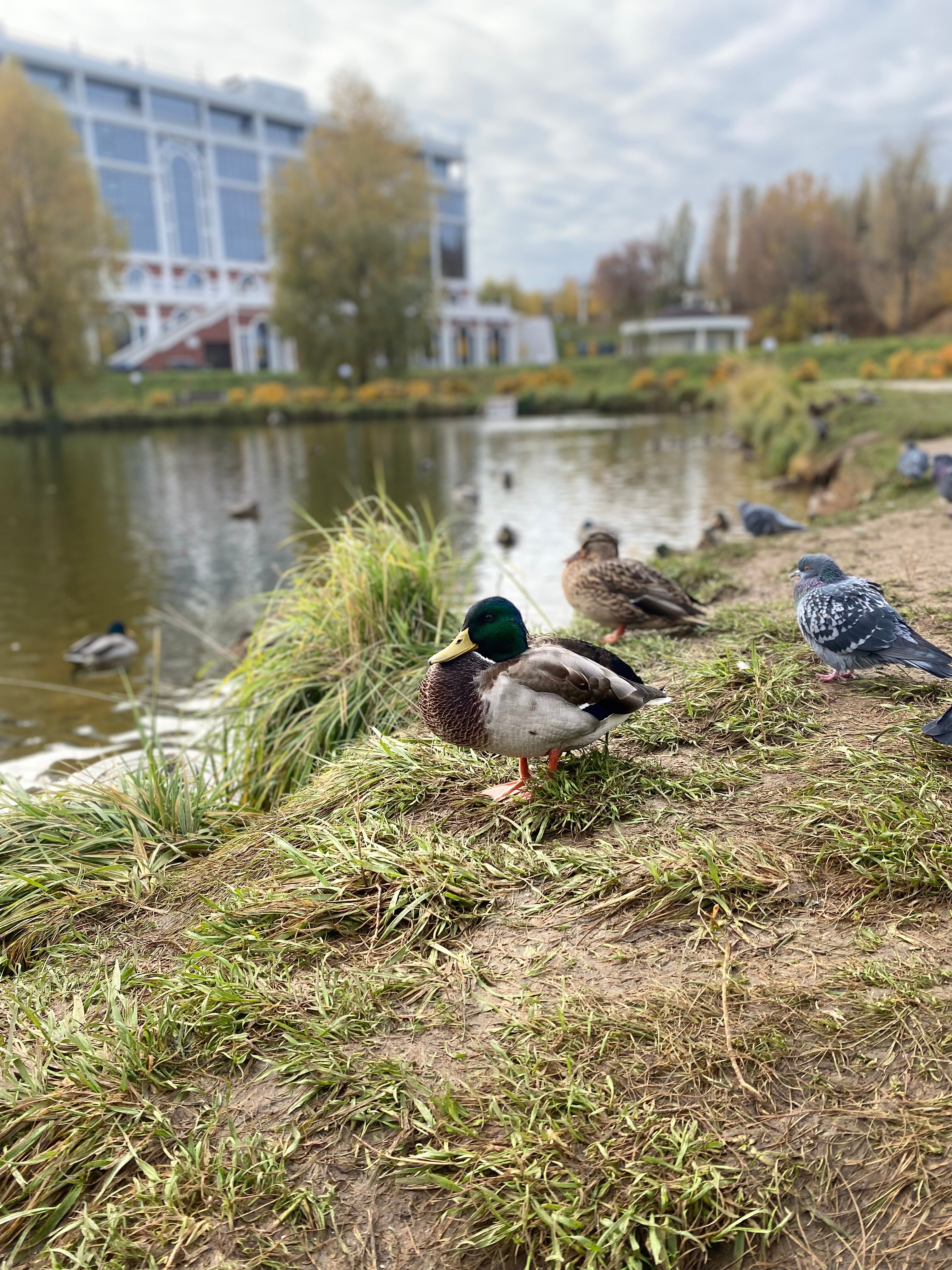 Фото Центр Маунтинбайка