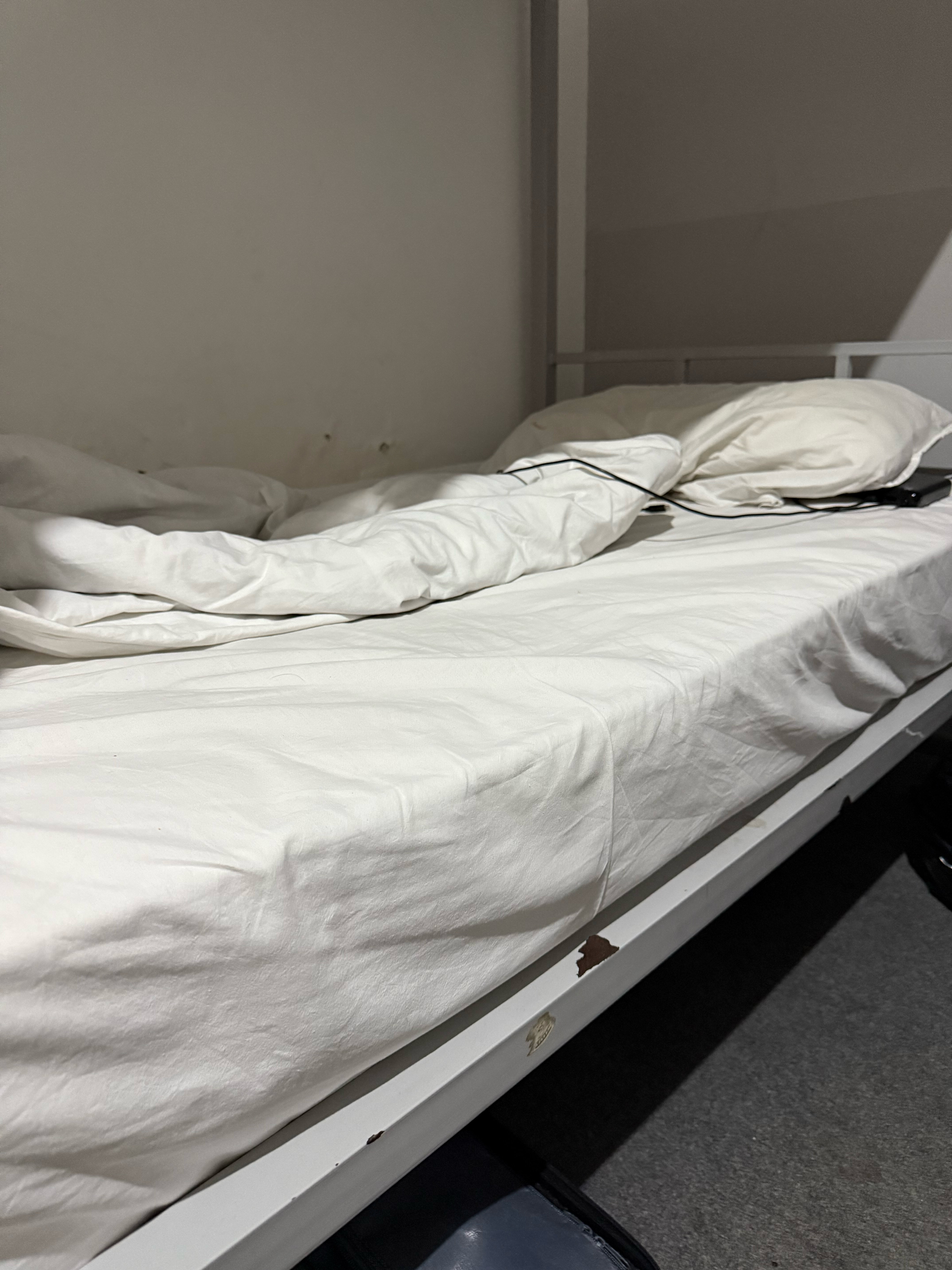 Фото Jules Verne Hostel Tashkent